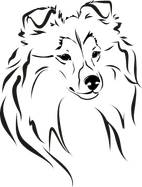 anyalivanova.wfolio.pro