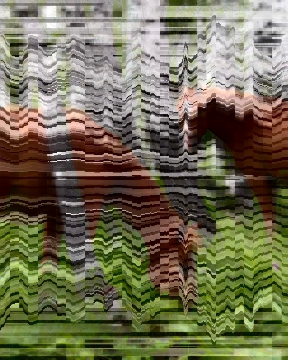 Akbuzat (1). MEMORY in NATURE | digital art gallery