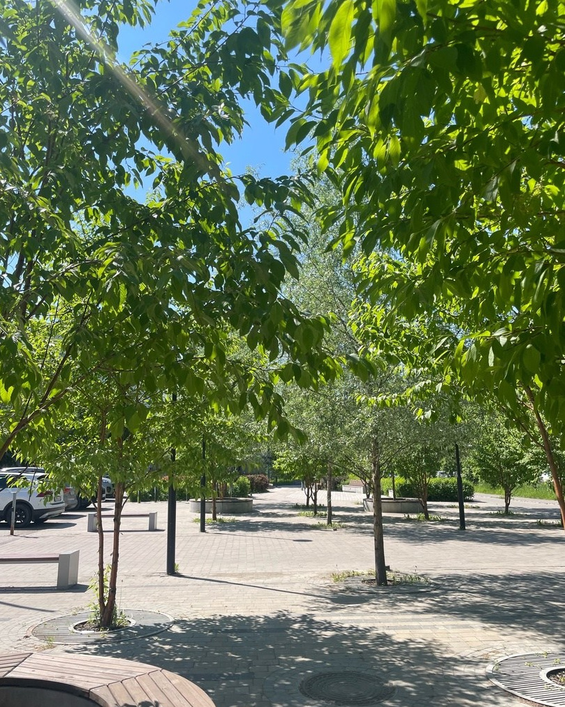 Места для фотосессий Томск