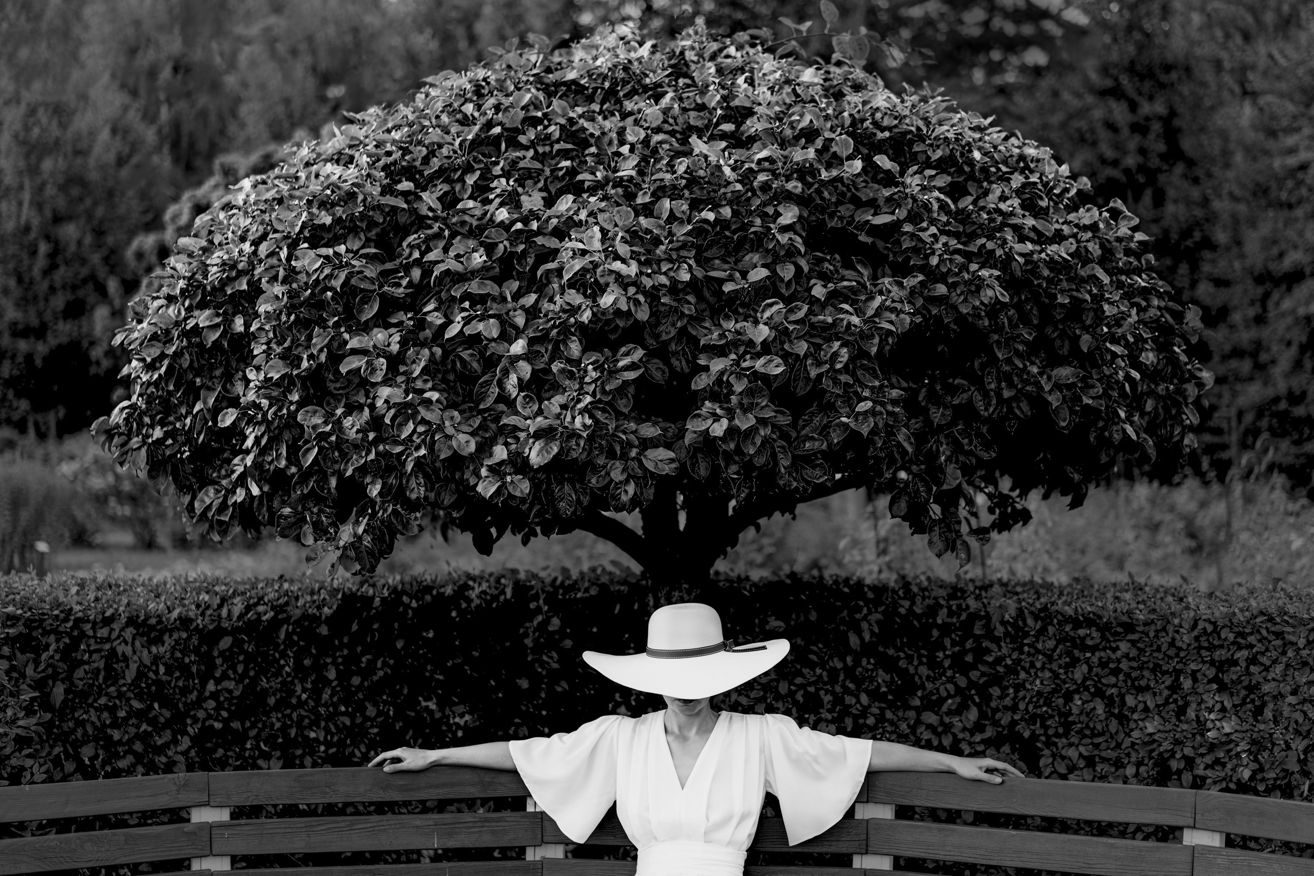 Portfolio Award 2024