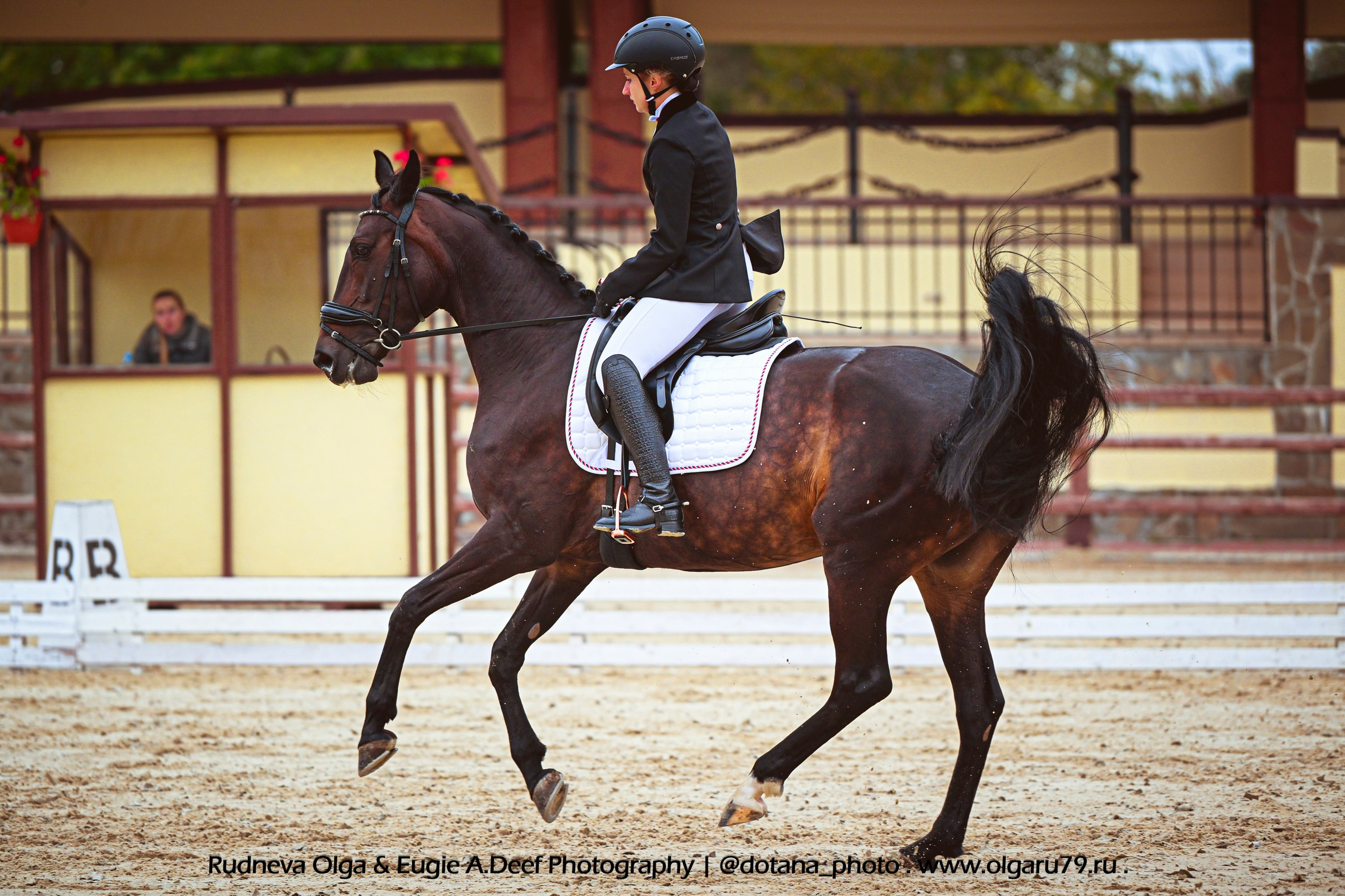 2025.09.20 — КСК ПЕГАС выездка. ТУРНИРНАЯ КОННАЯ ФОТОГРАФИЯ, Руднева Ольга и Евгений Адеев
