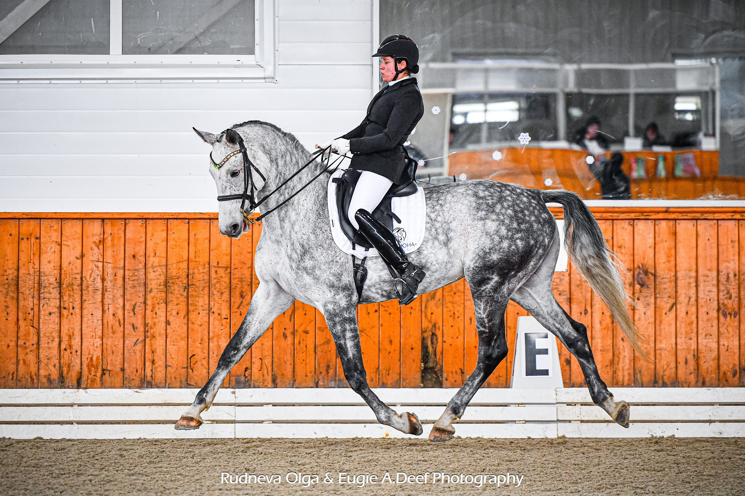 2025.02.16_Открытие зимнего сезона в КСК Конкорд (выездка). ТУРНИРНАЯ КОННАЯ ФОТОГРАФИЯ, Руднева Ольга и Евгений Адеев