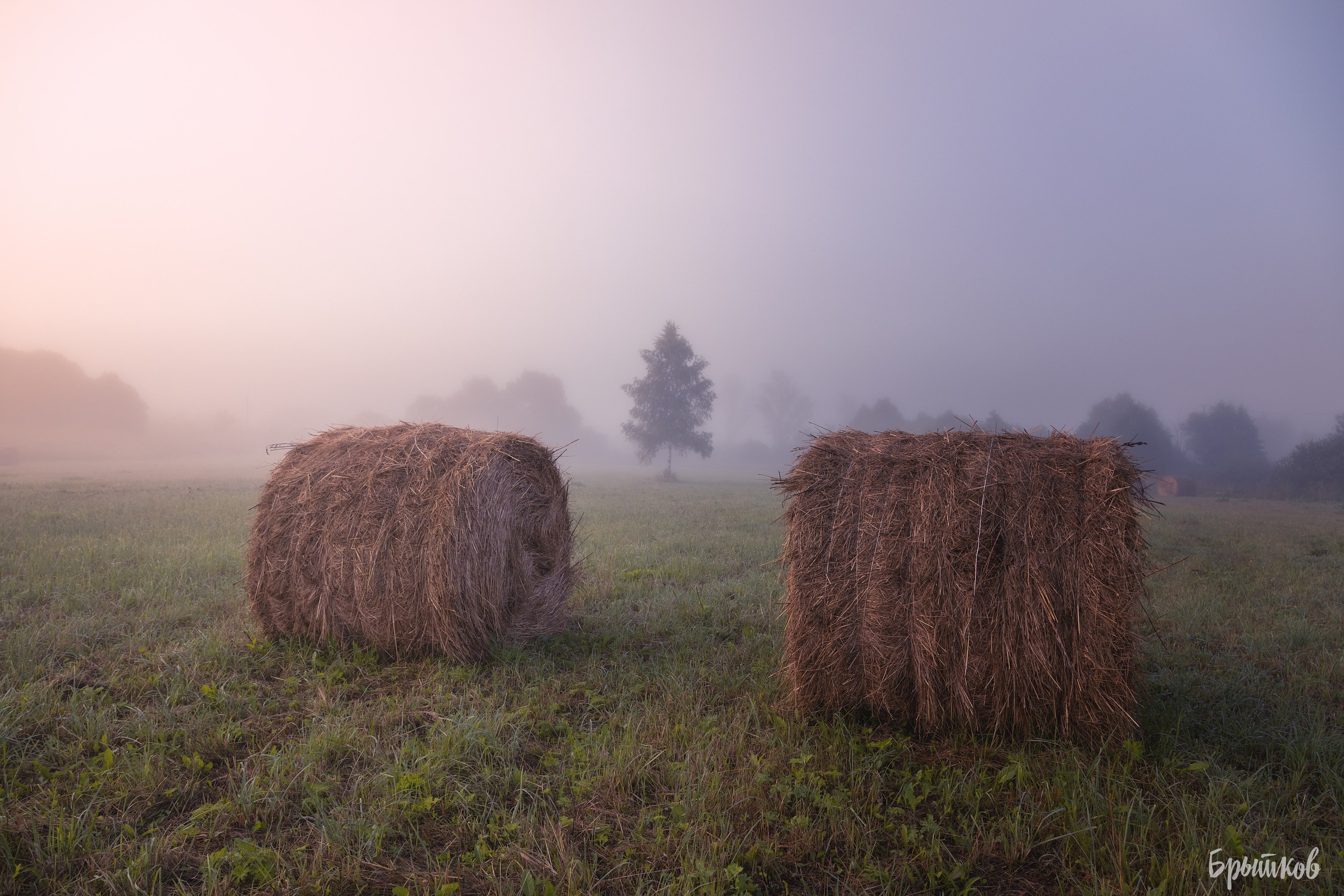 Катышки сена Воздремо. Николай Брытков — фотограф в Туле