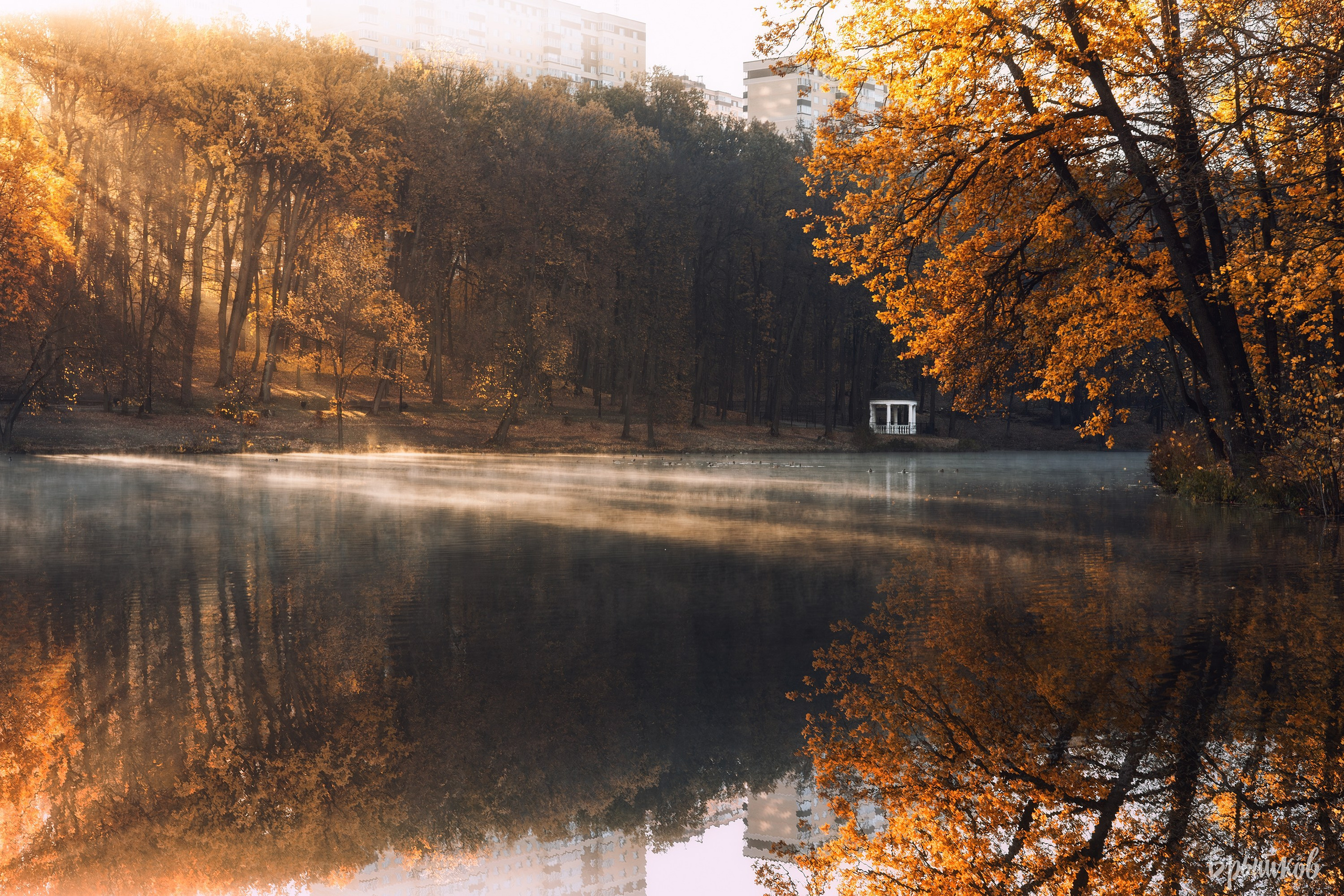 Платовский парк. Николай Брытков — фотограф в Туле