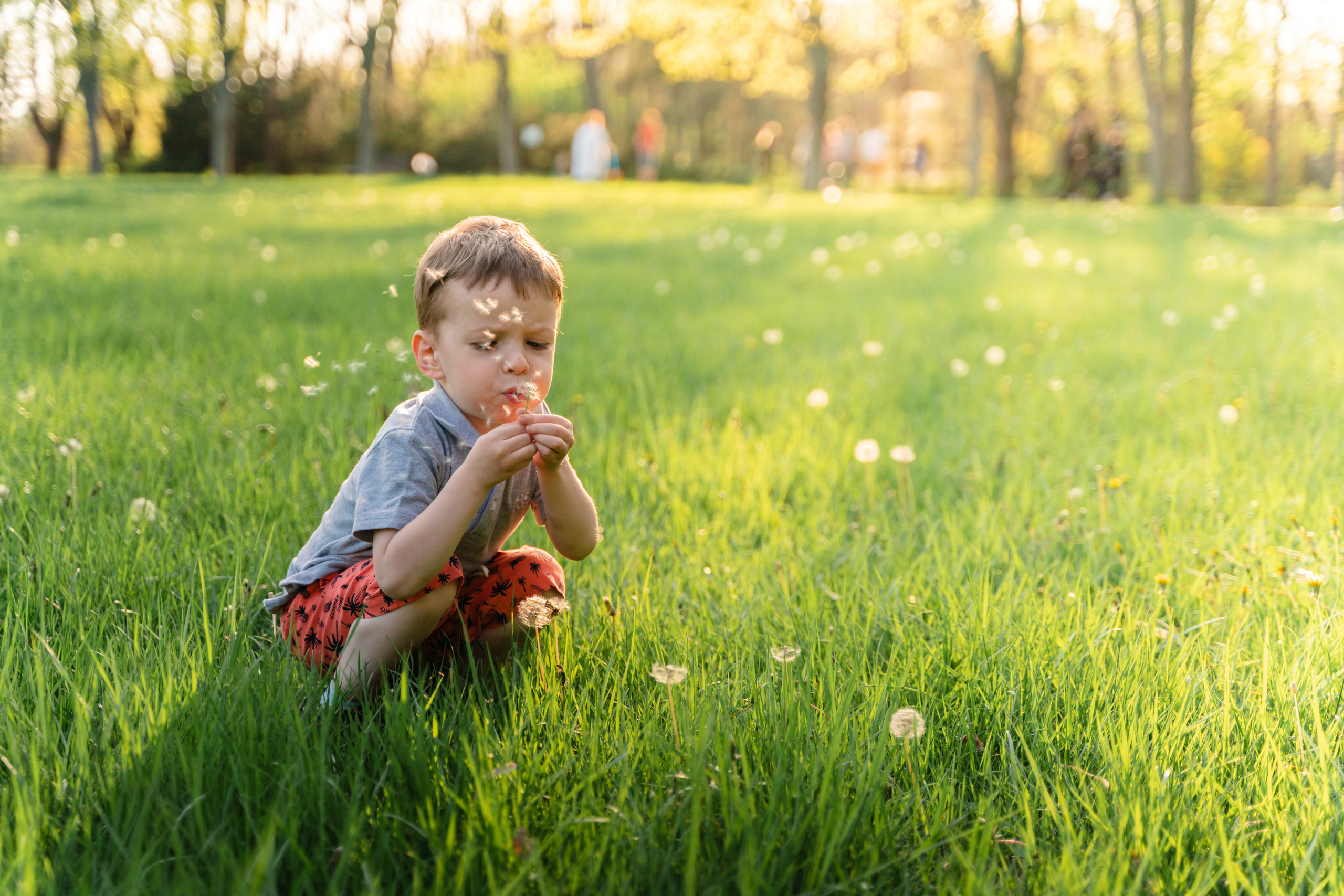 Семейный и бренд фотограф