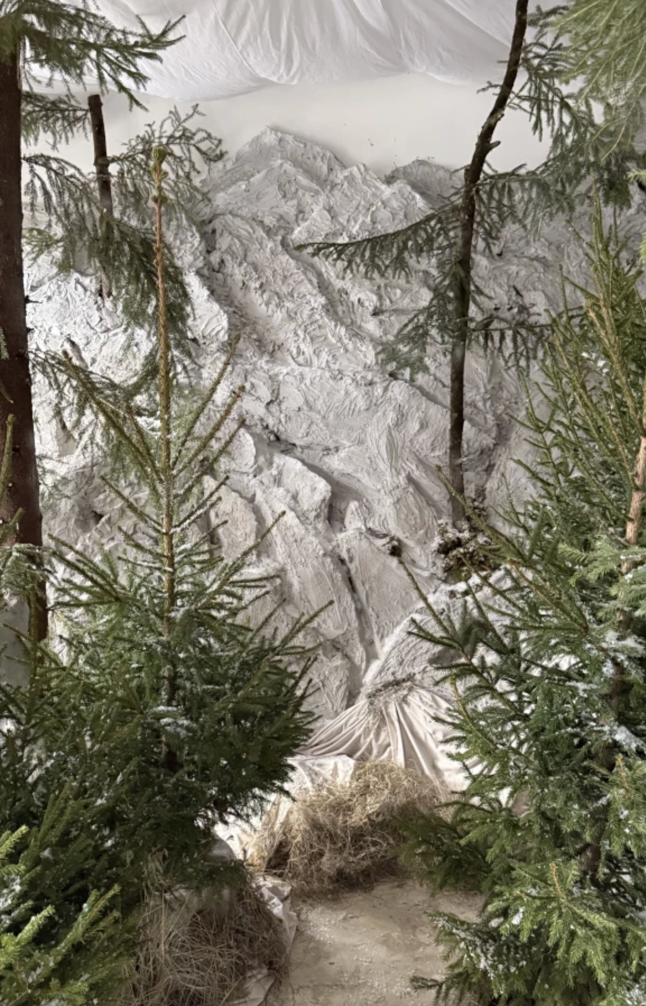 Нестандартные новогодние фотостудии в Москве в 2025 году. Фотосессия под ключ в Москве — креативные, женские и семейные съёмки | Фотограф Анна Лебедева