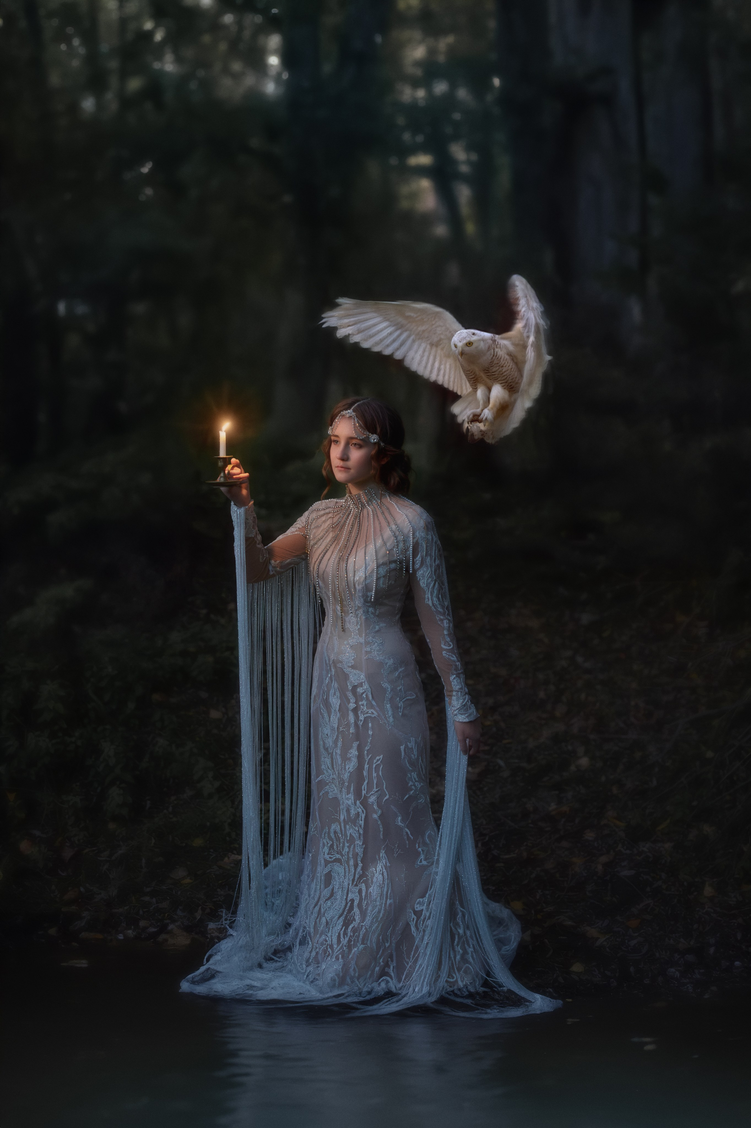 Стоимость услуг. Семейный и детский фотограф Новосибирск Ольга Казакова. Съёмки в муке