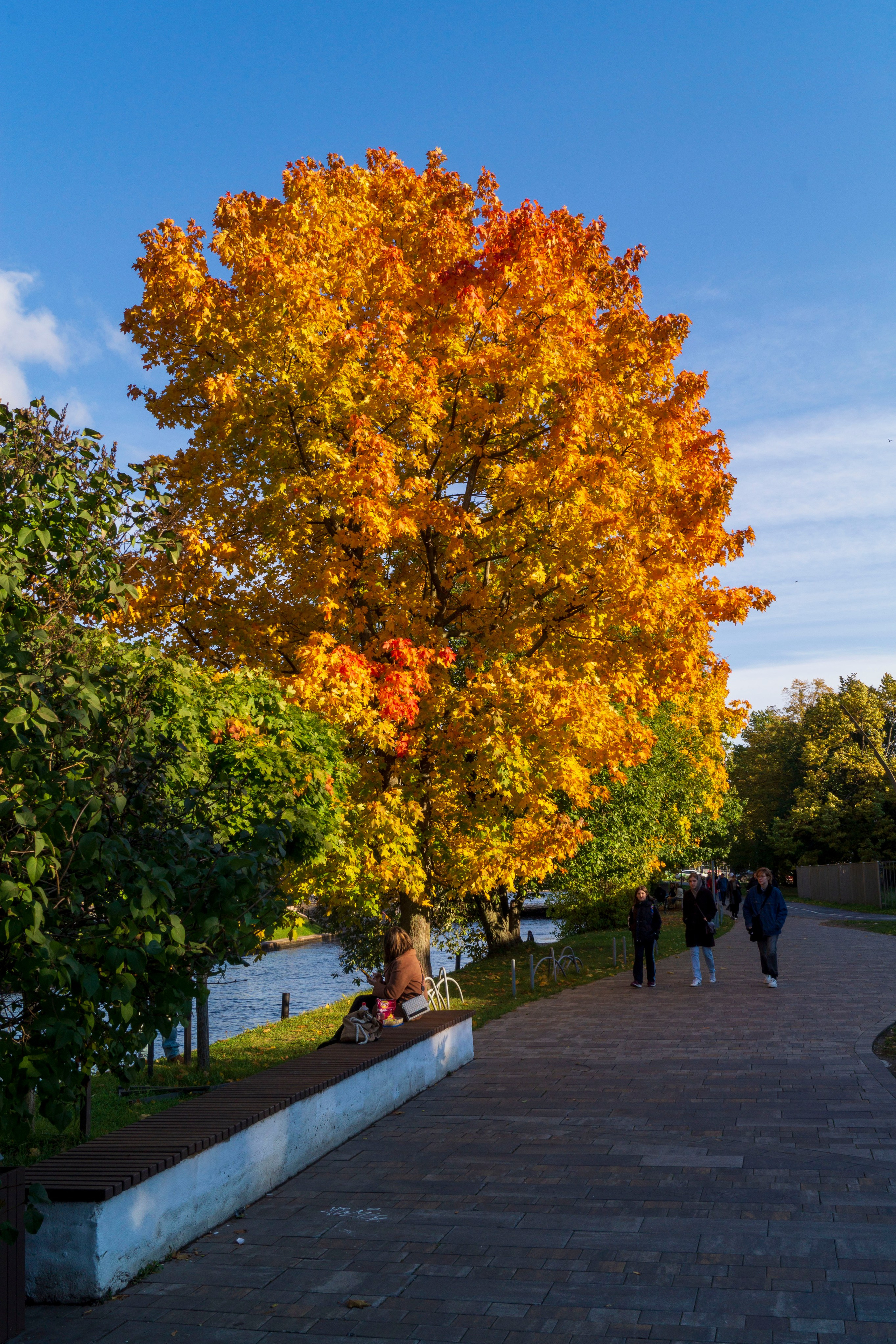 Услуги. Портретный и семейный фотограф Санкт-Петербург