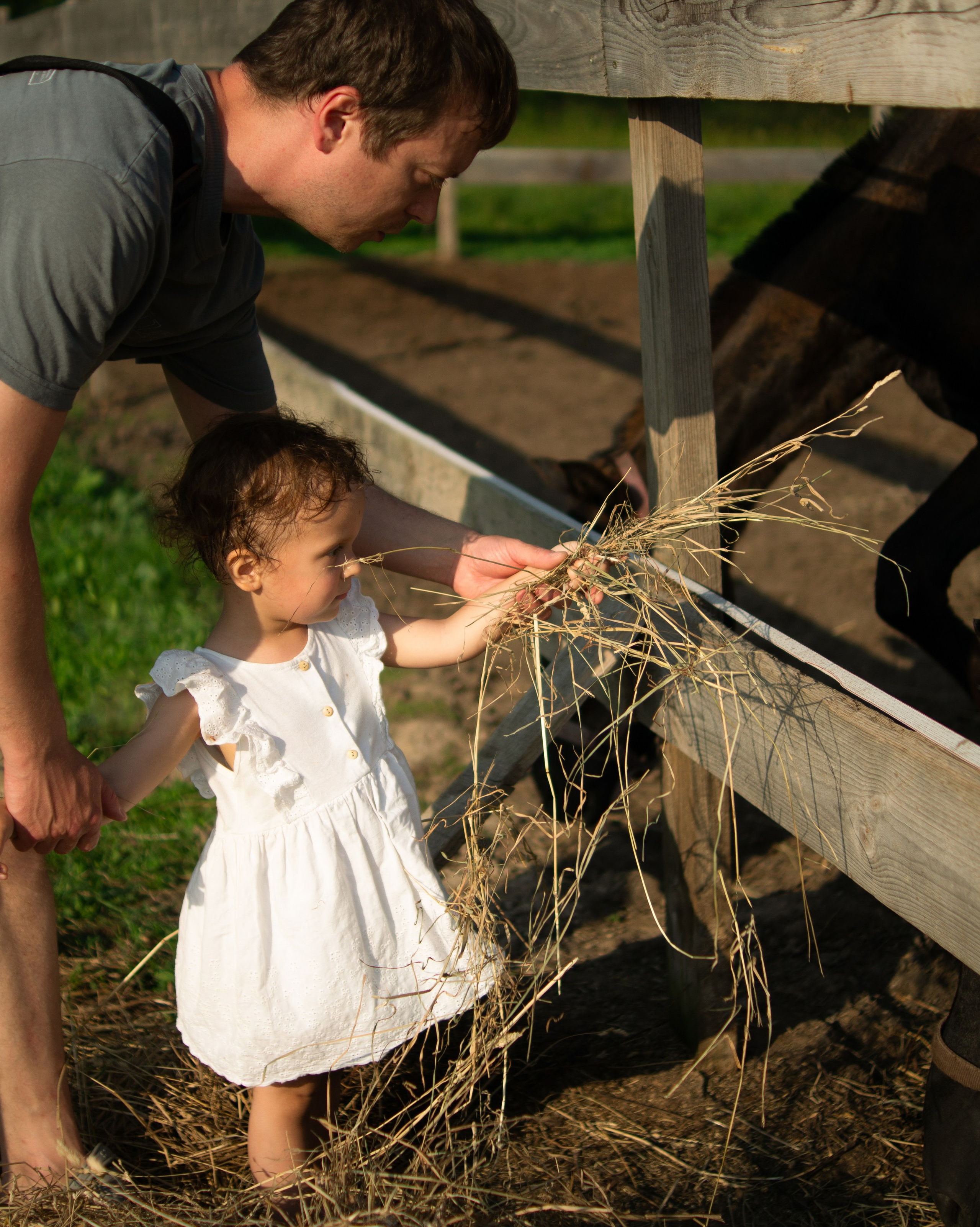 Услуги. Портретный фотограф Елена Ковалевская
