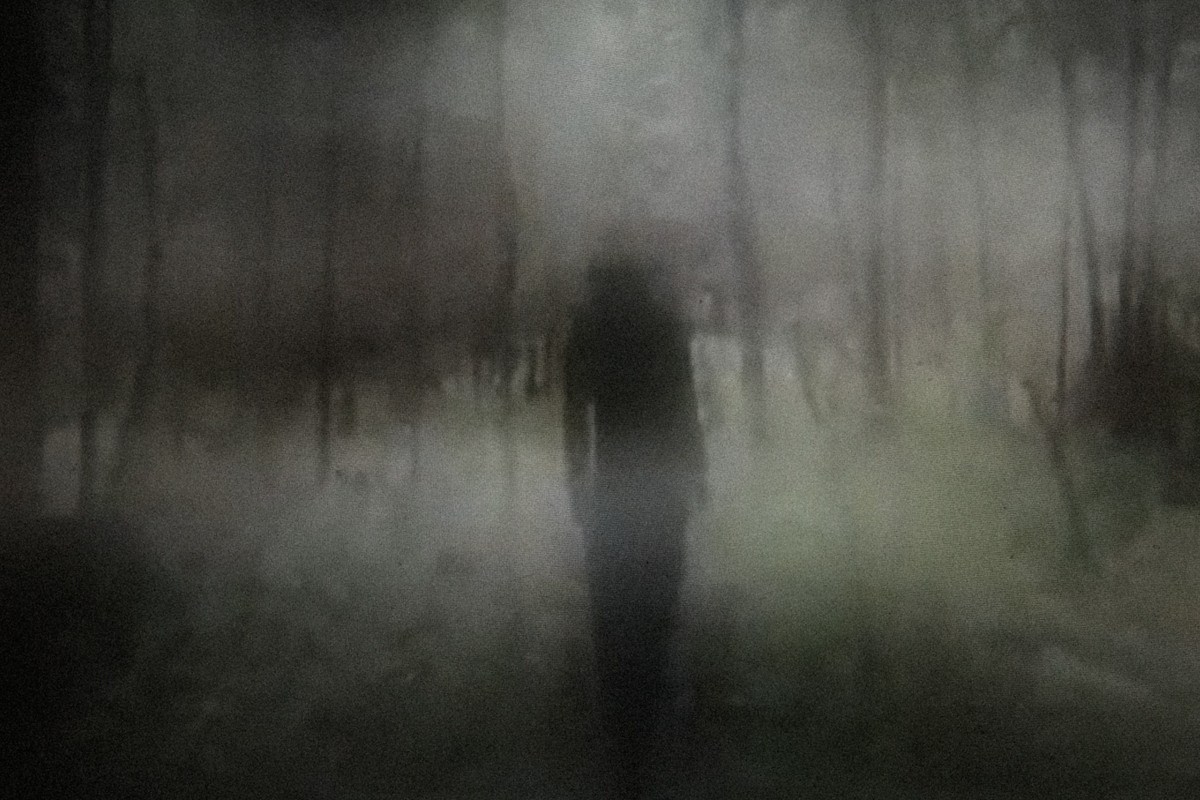Фотокнига: Виктория Ковшикова «Проклятый треугольник». Самоорганизация Низина
