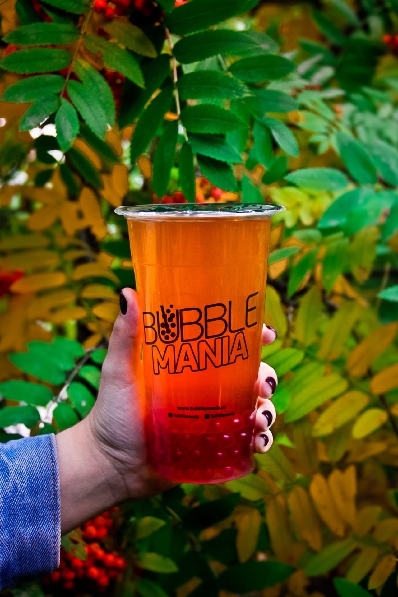Кафе Бабл-ти БабблМания BubbleMania Казань