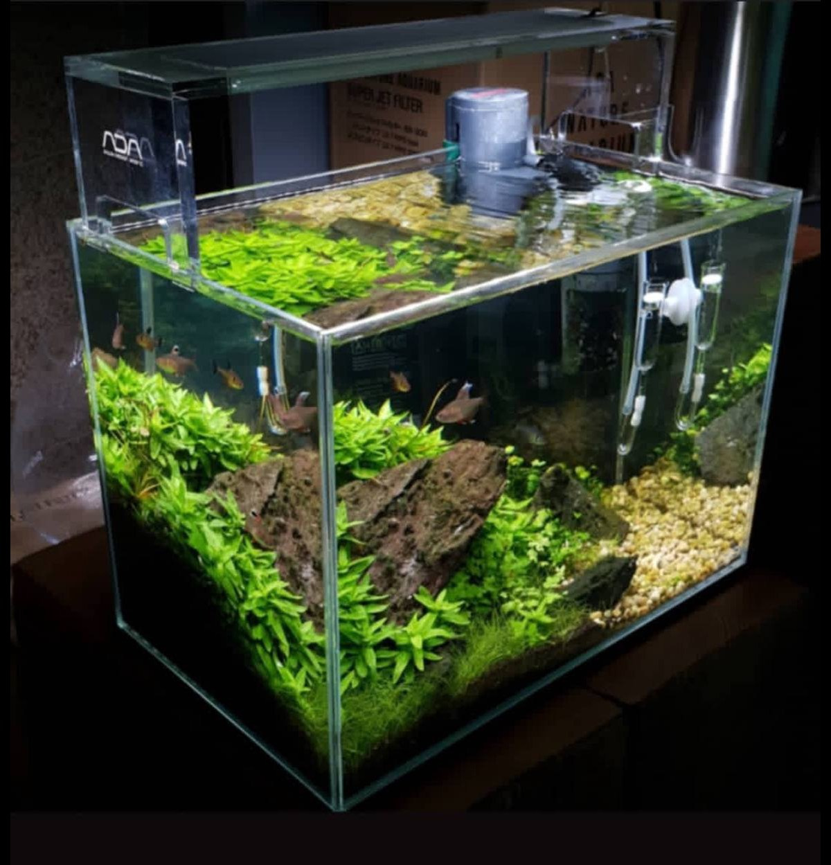 Aquarium for nano fishes or bettas. Home