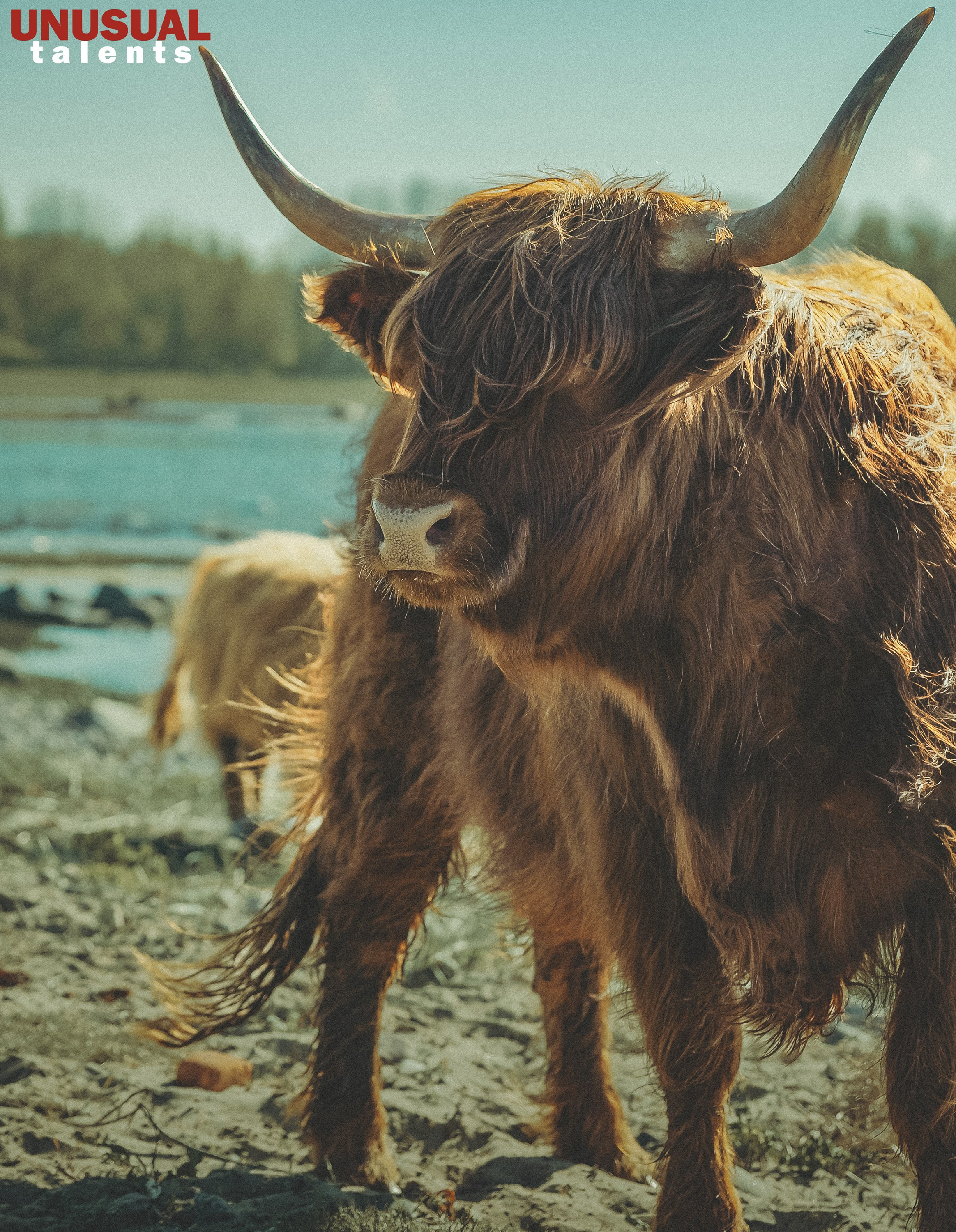 Liudmila Kostina. UNUSUAL TALENT magazine