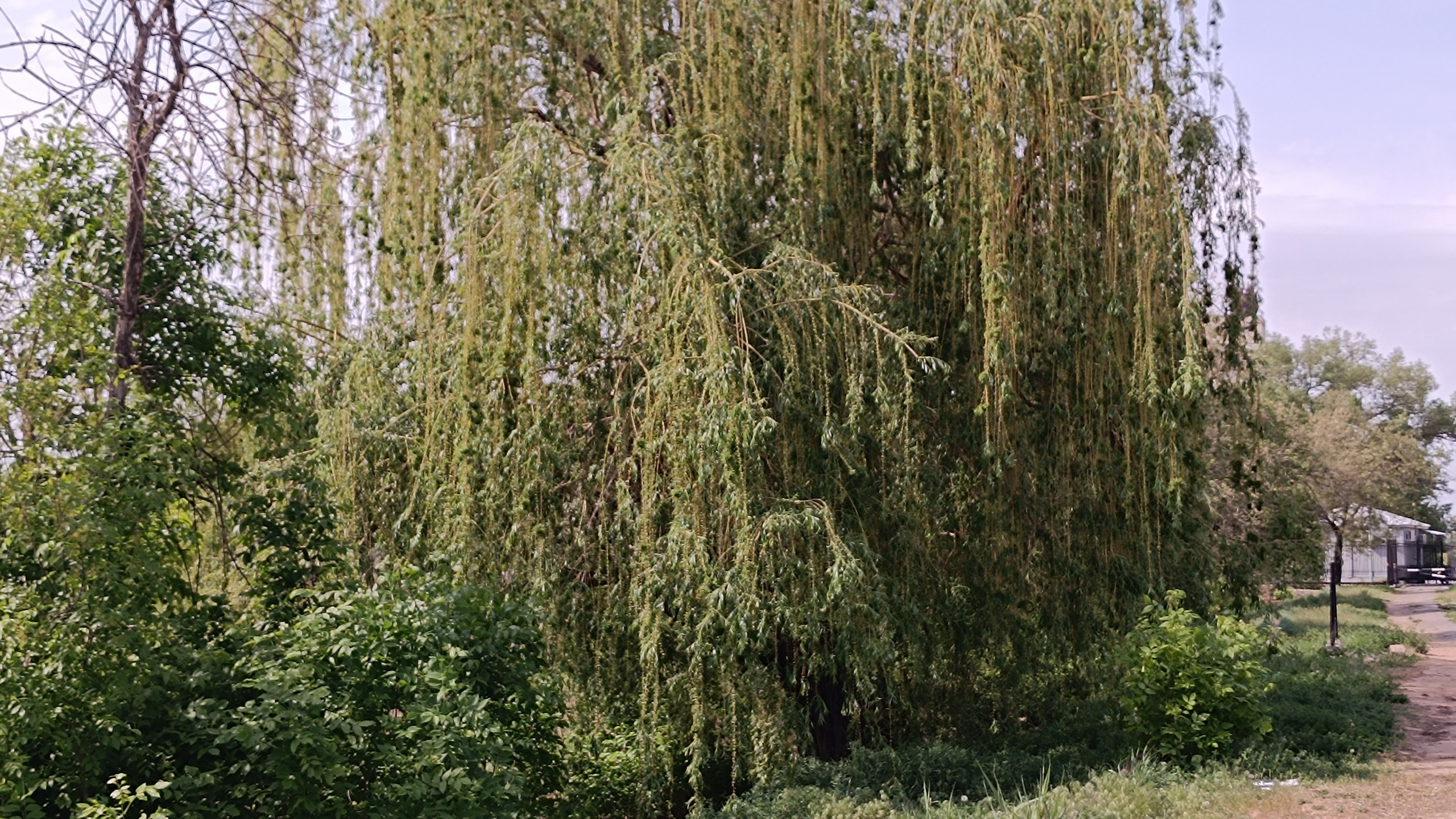 Читальный зал. Марина Рыбкина — Глубинная психология