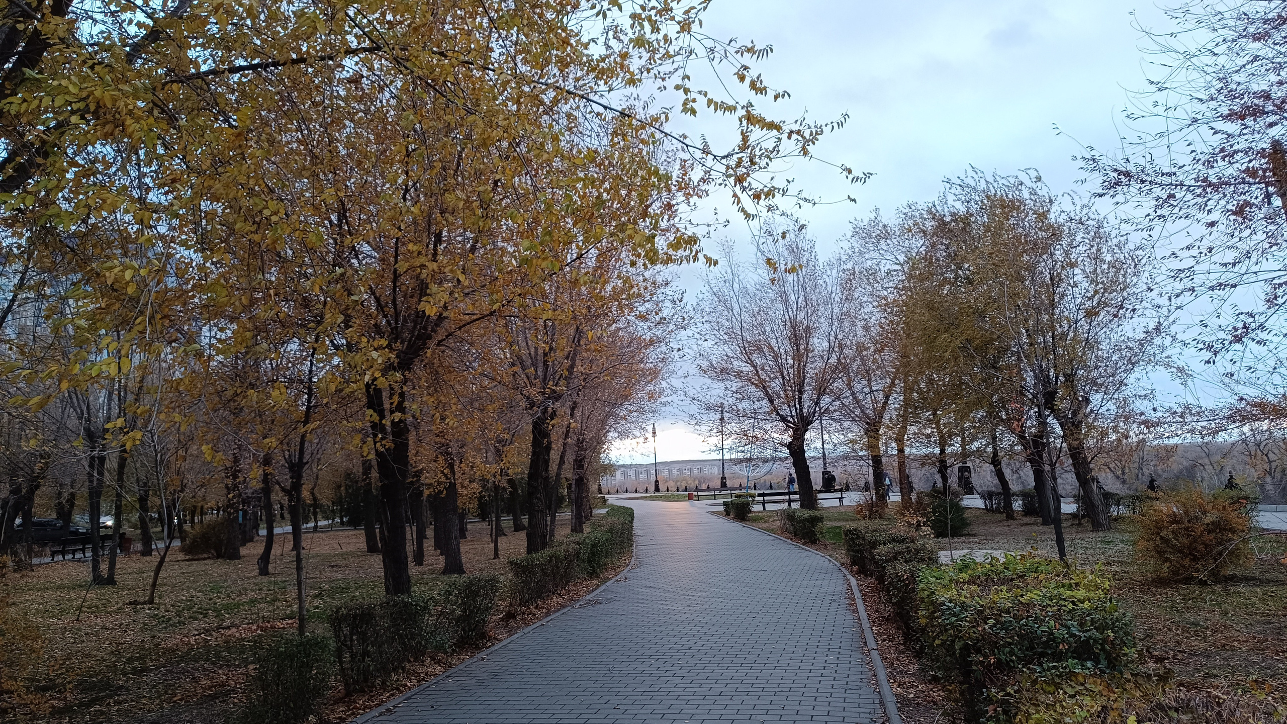 Читальный зал. Марина Рыбкина — Глубинная психология