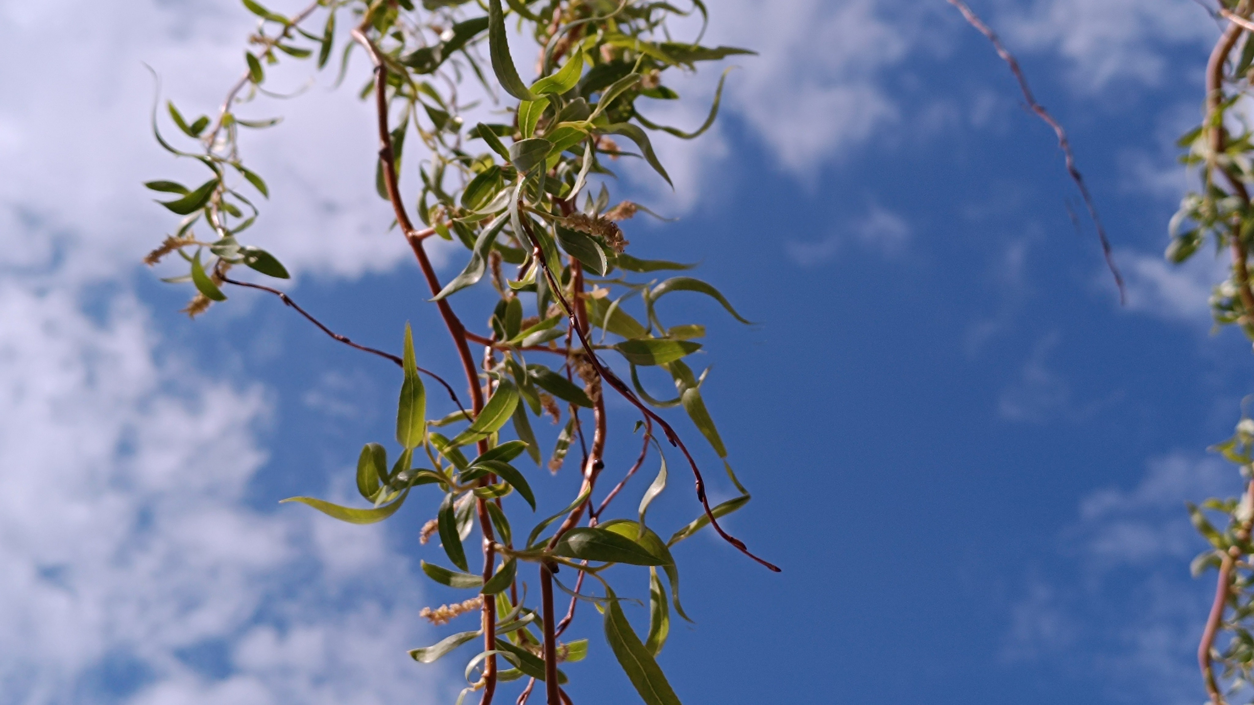 Читальный зал. Марина Рыбкина — Глубинная психология