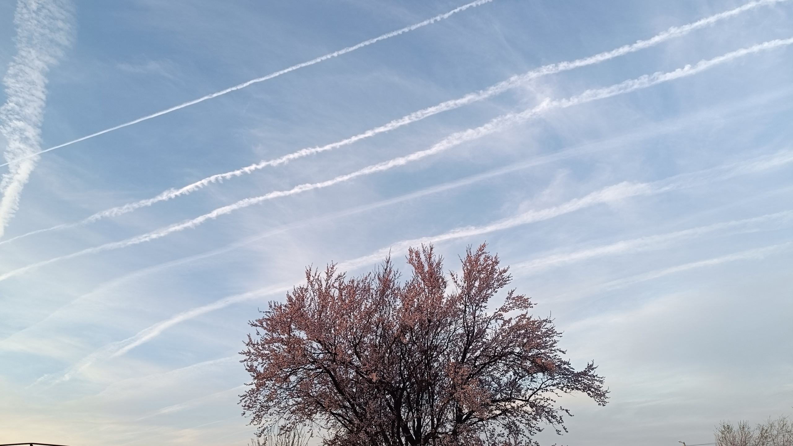 Читальный зал. Марина Рыбкина — Глубинная психология