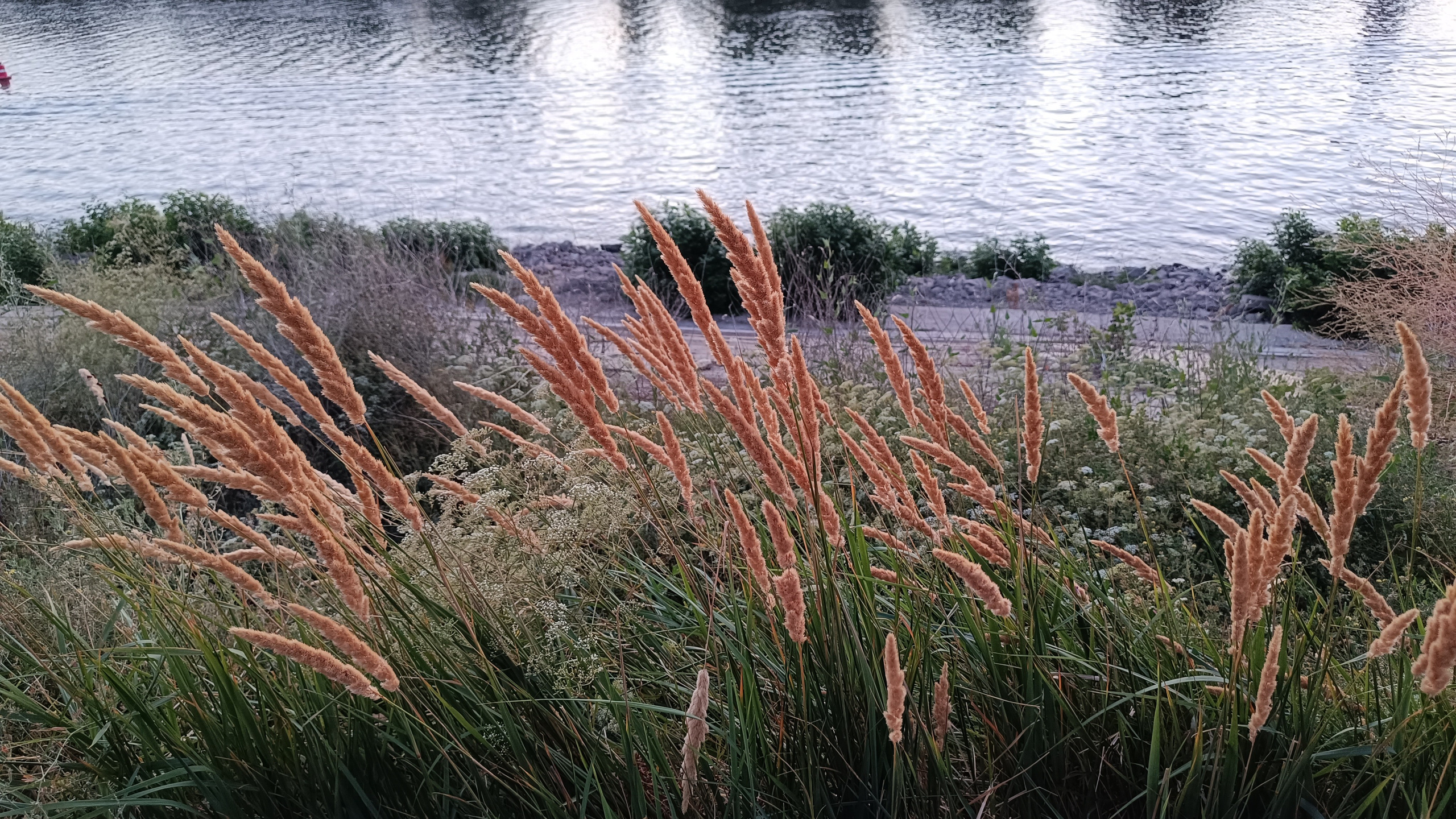 Читальный зал. Марина Рыбкина — Глубинная психология