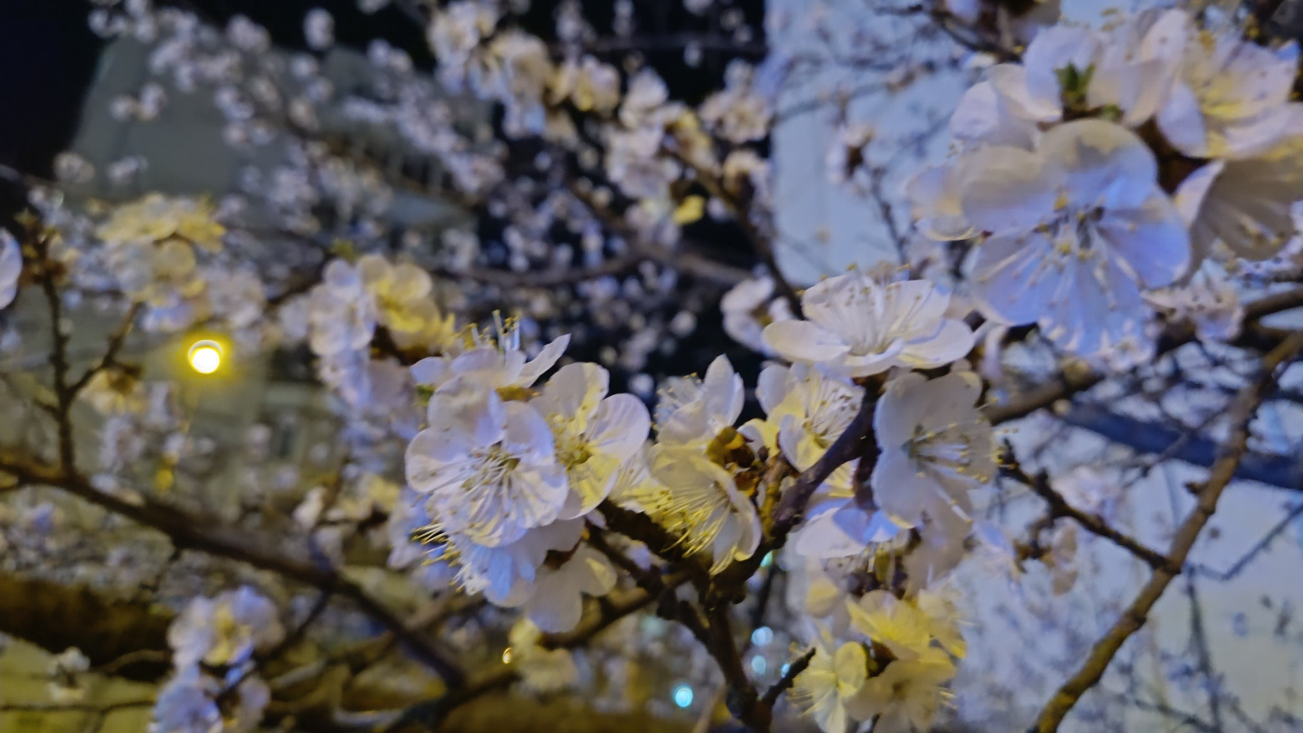 Читальный зал. Марина Рыбкина — Глубинная психология