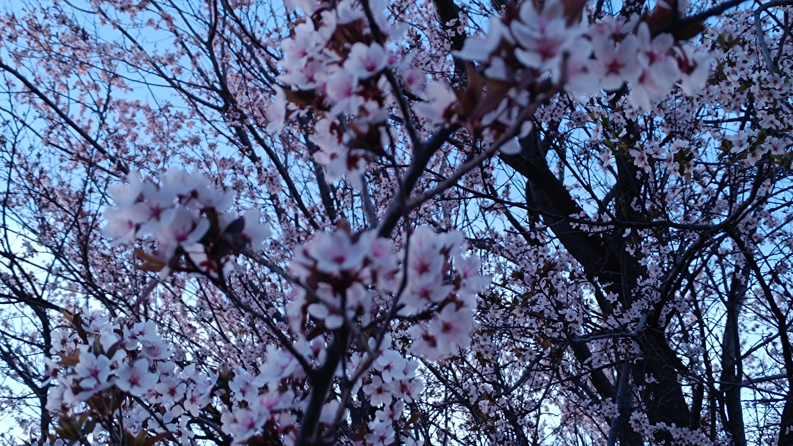 Читальный зал. Марина Рыбкина — Глубинная психология