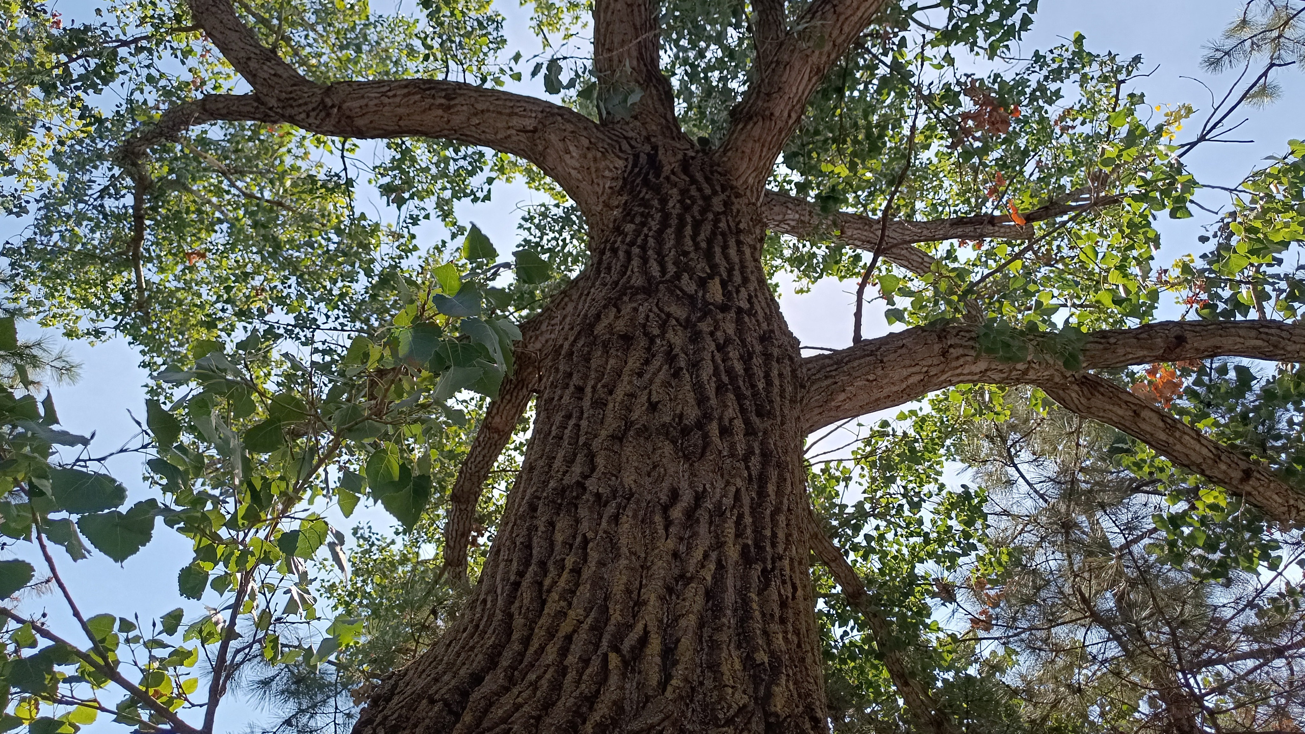 Читальный зал. Марина Рыбкина — Глубинная психология