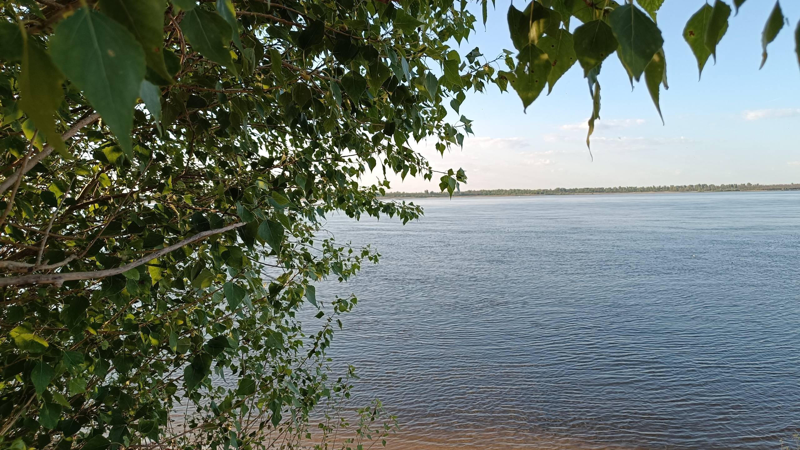 Читальный зал. Марина Рыбкина — Глубинная психология