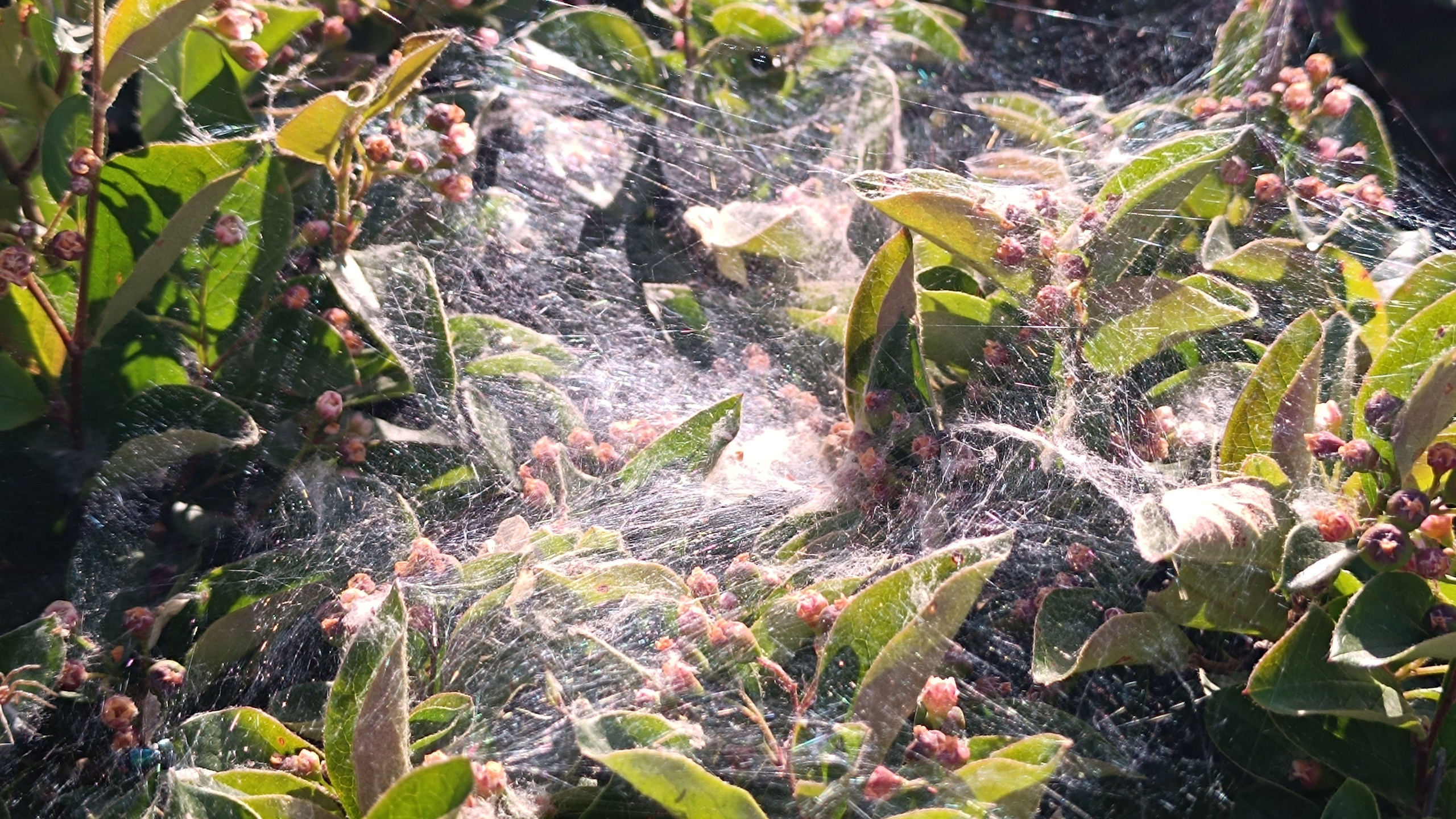 Читальный зал. Марина Рыбкина — Глубинная психология