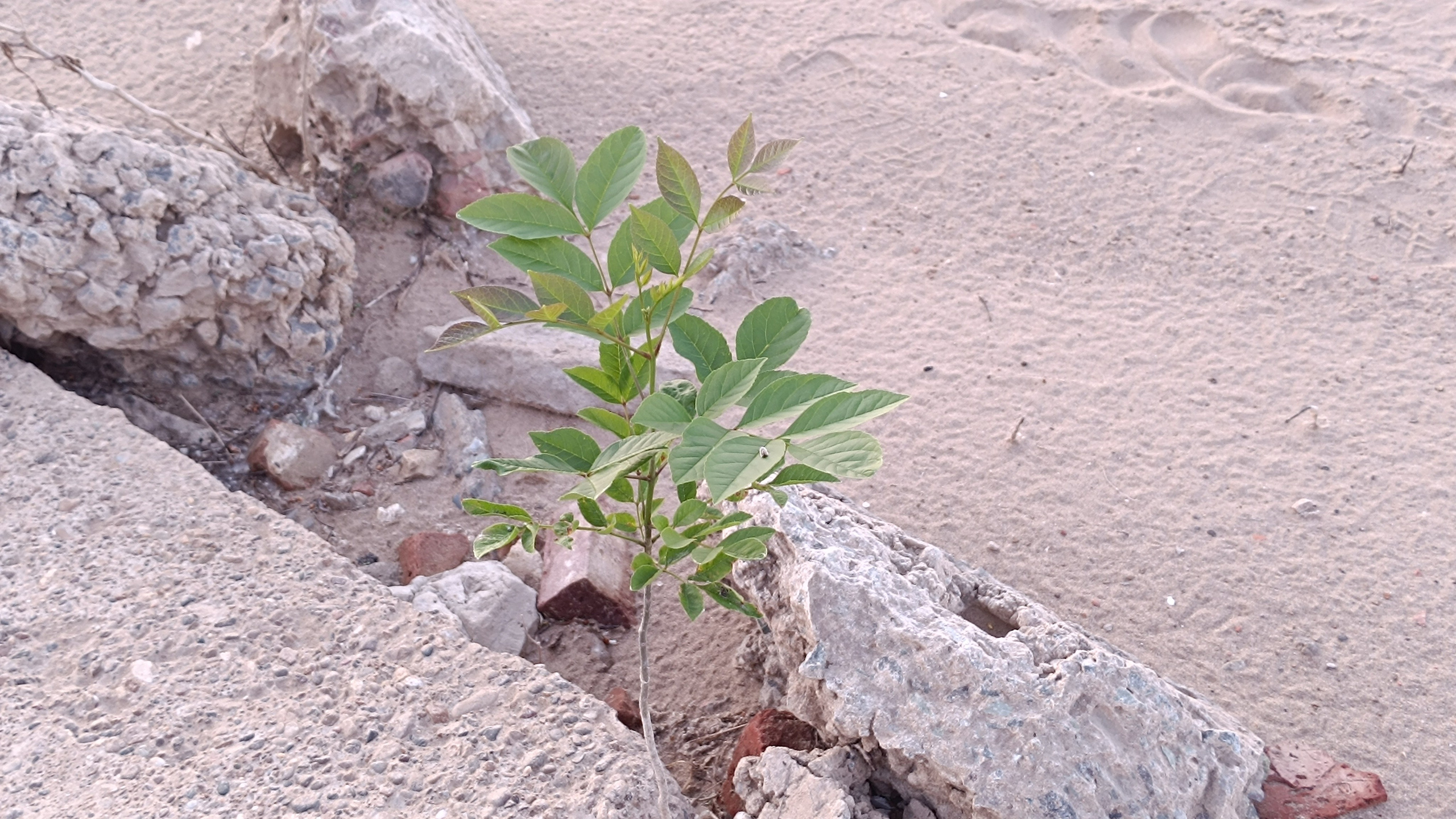 Читальный зал. Марина Рыбкина — Глубинная психология