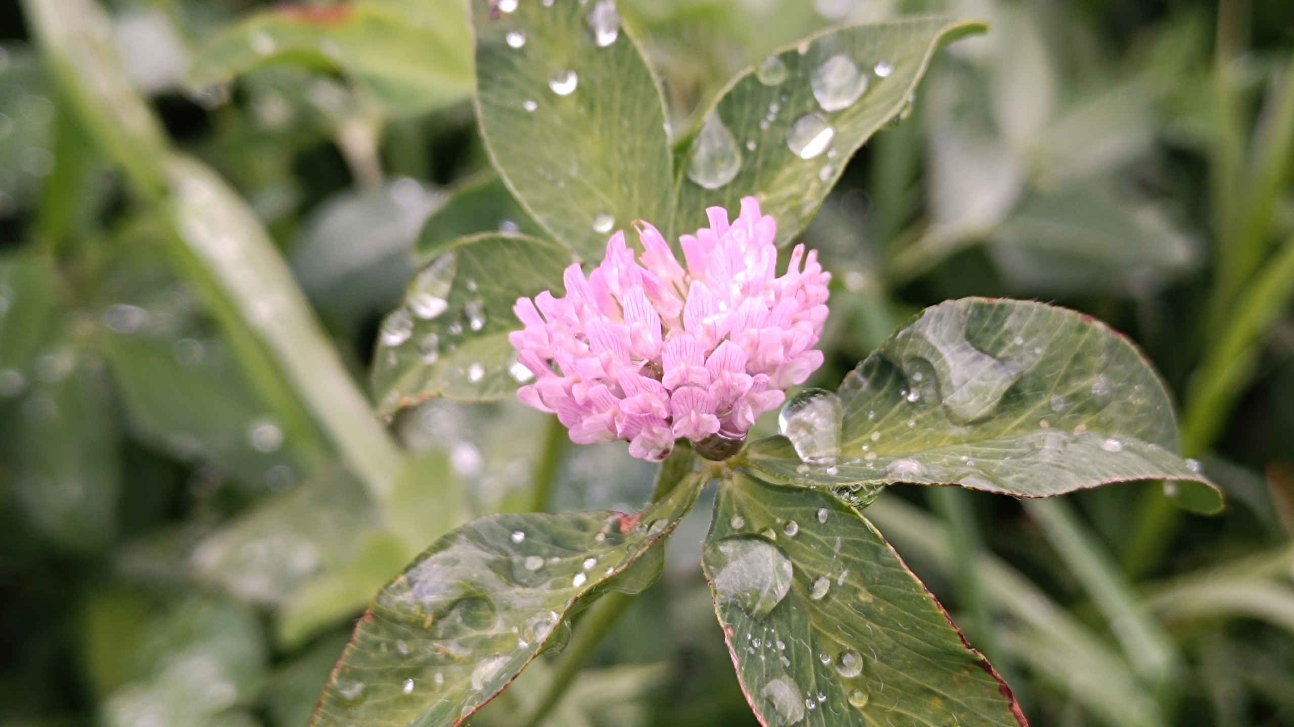 Читальный зал. Марина Рыбкина — Глубинная психология