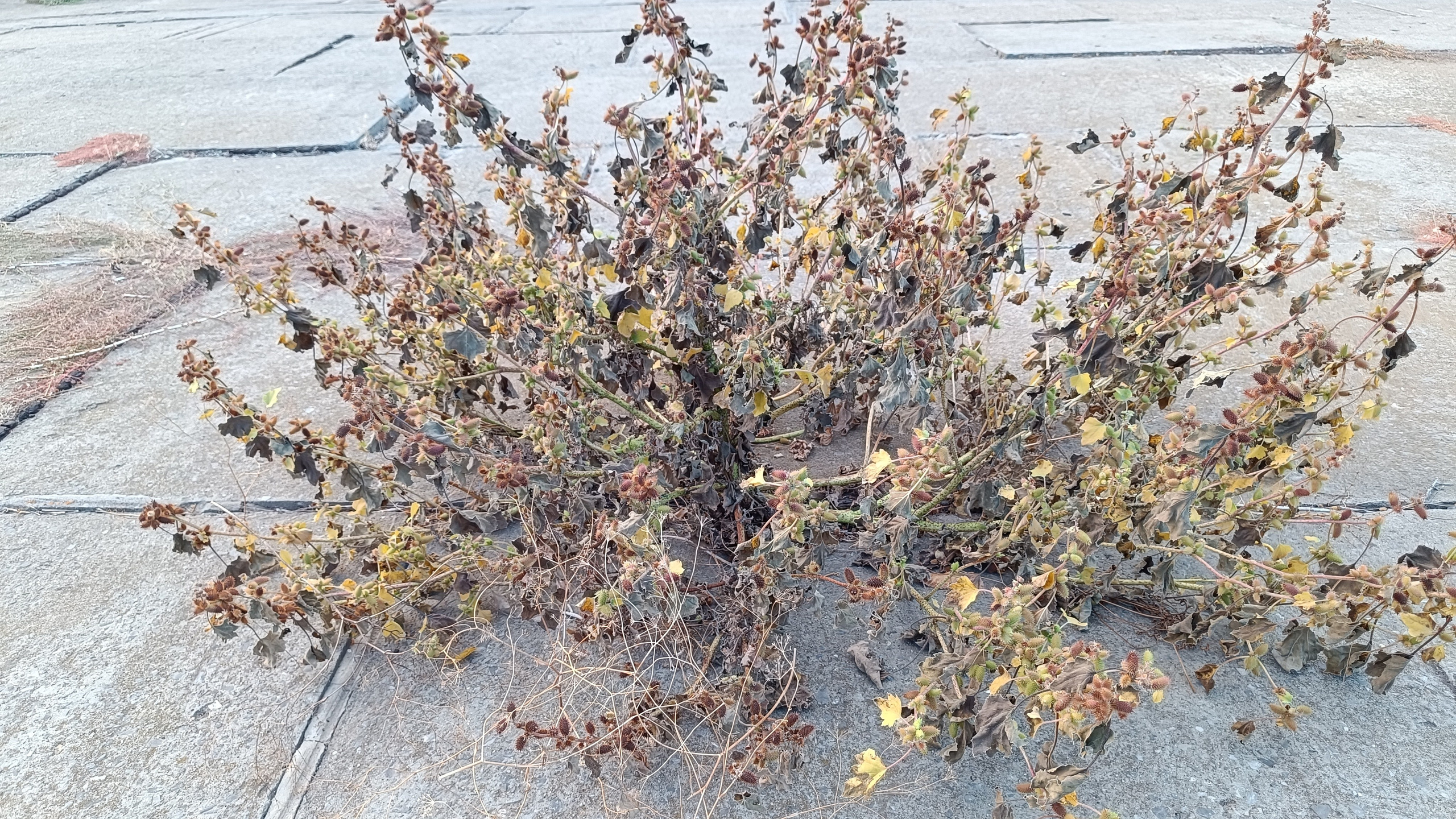 Читальный зал. Марина Рыбкина — Глубинная психология