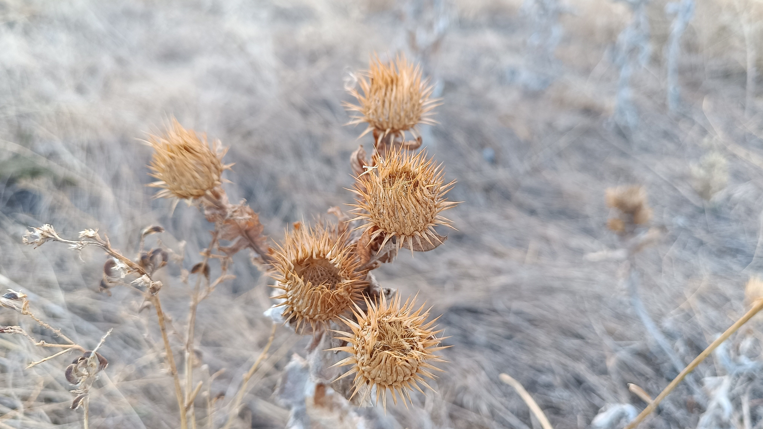 Читальный зал. Марина Рыбкина — Глубинная психология