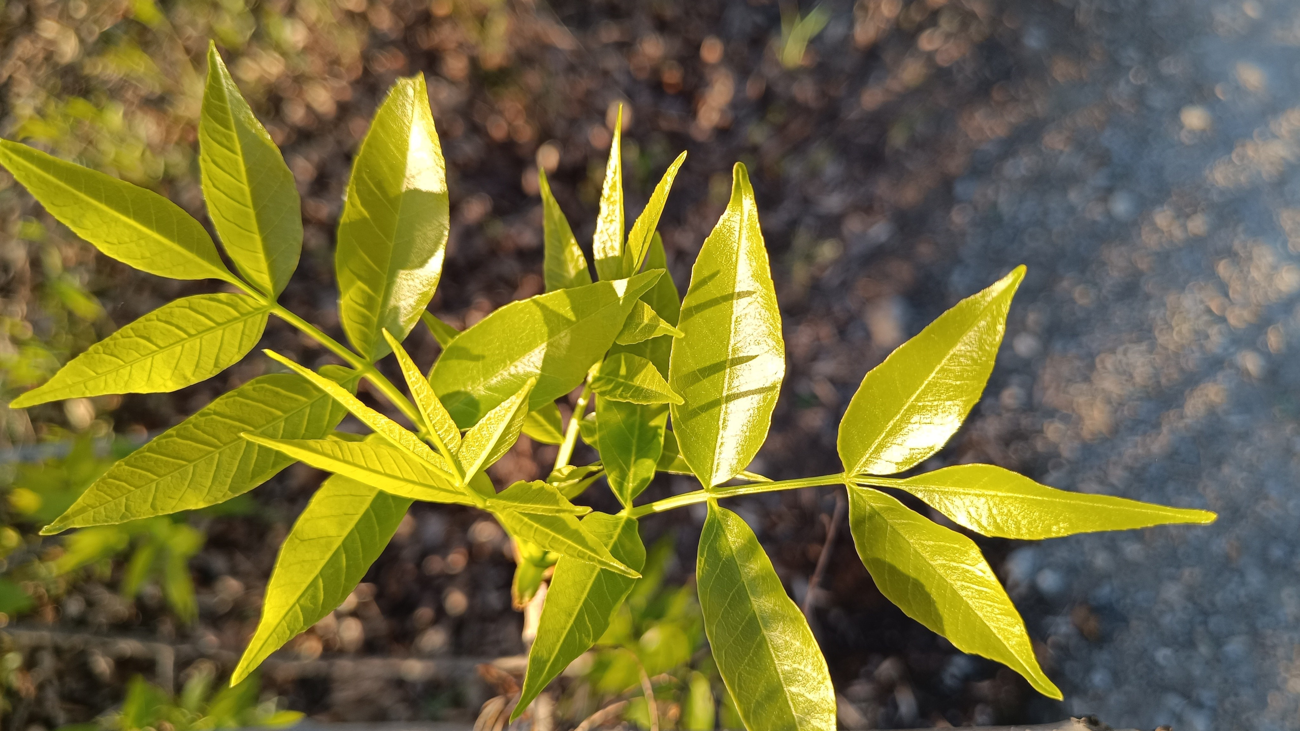Читальный зал. Марина Рыбкина — Глубинная психология