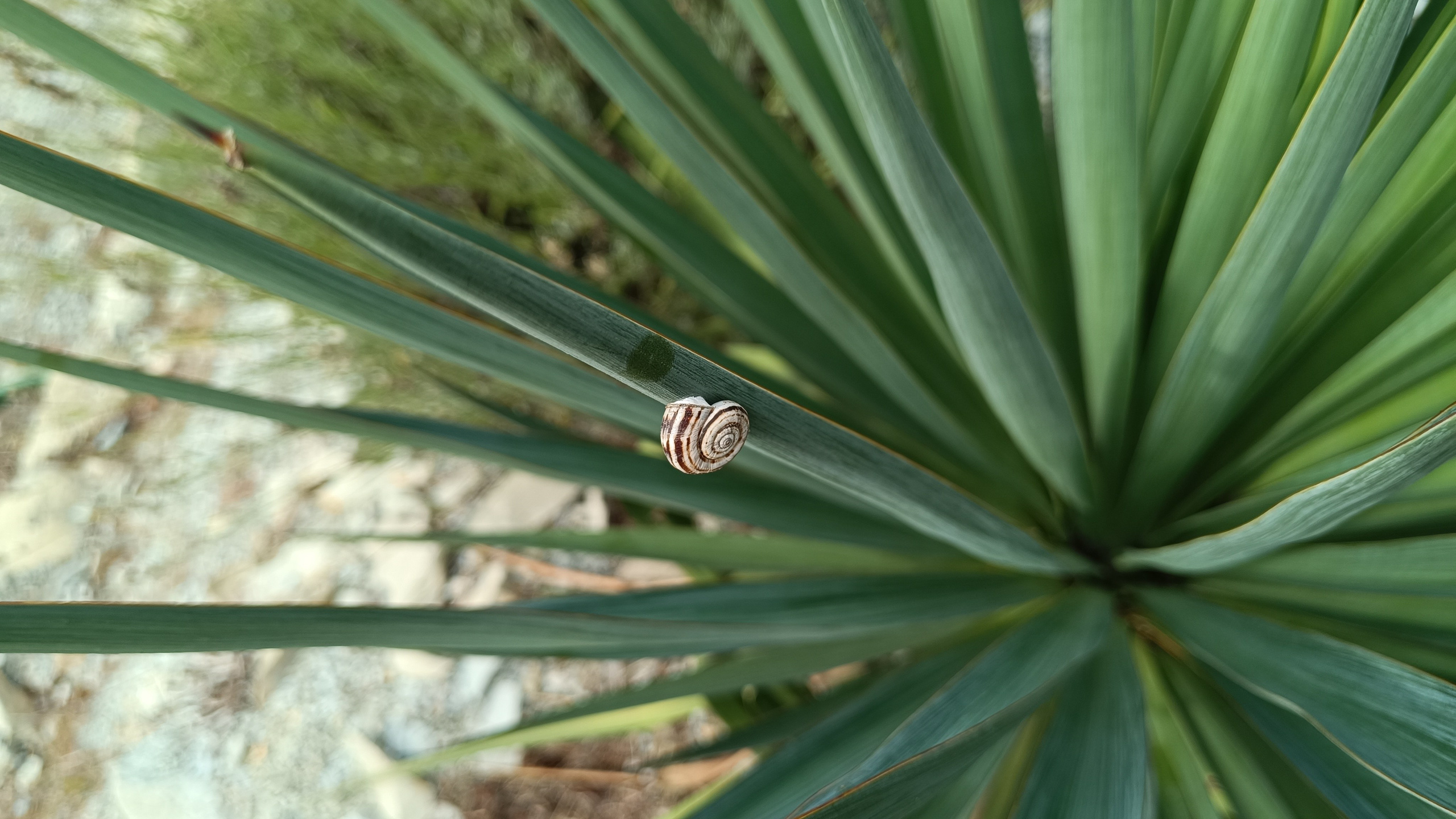 Читальный зал. Марина Рыбкина — Глубинная психология