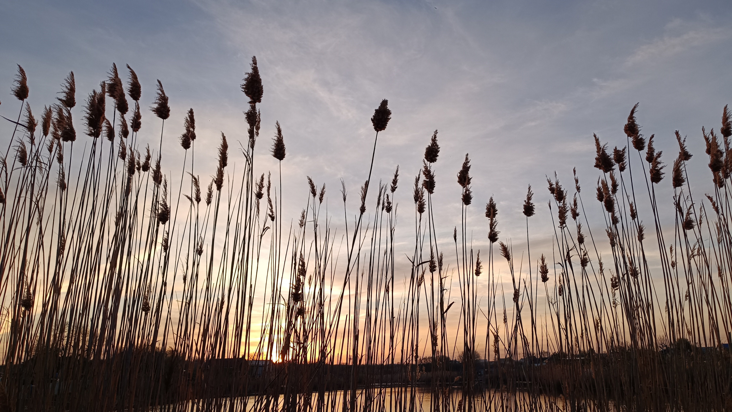 Читальный зал. Марина Рыбкина — Глубинная психология