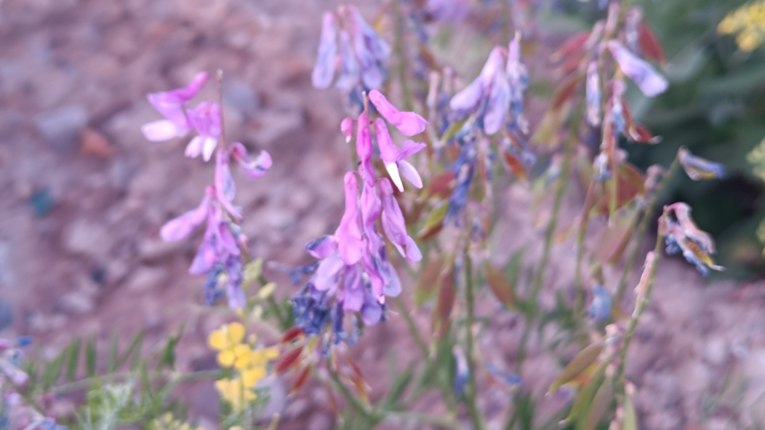 Читальный зал. Марина Рыбкина — Глубинная психология