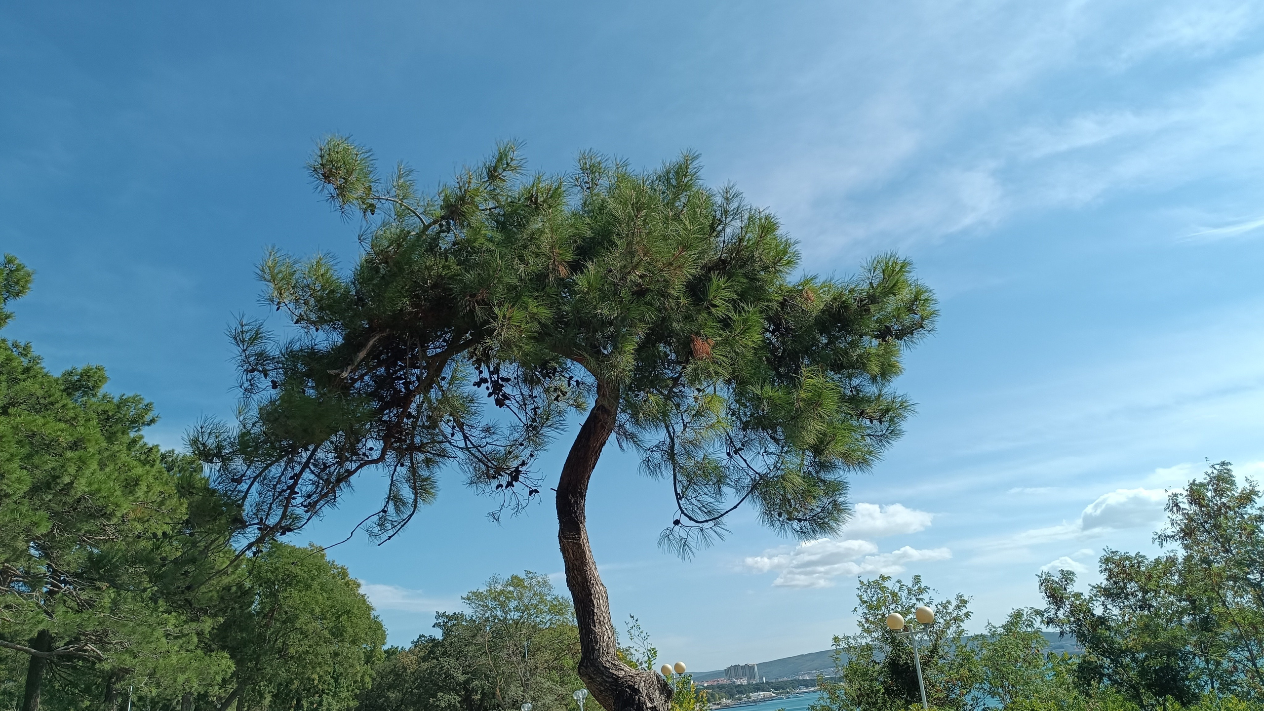 Читальный зал. Марина Рыбкина — Глубинная психология