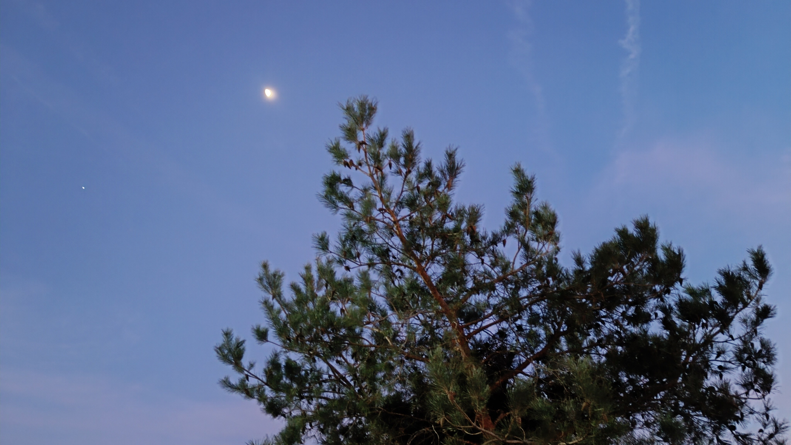 Читальный зал. Марина Рыбкина — Глубинная психология