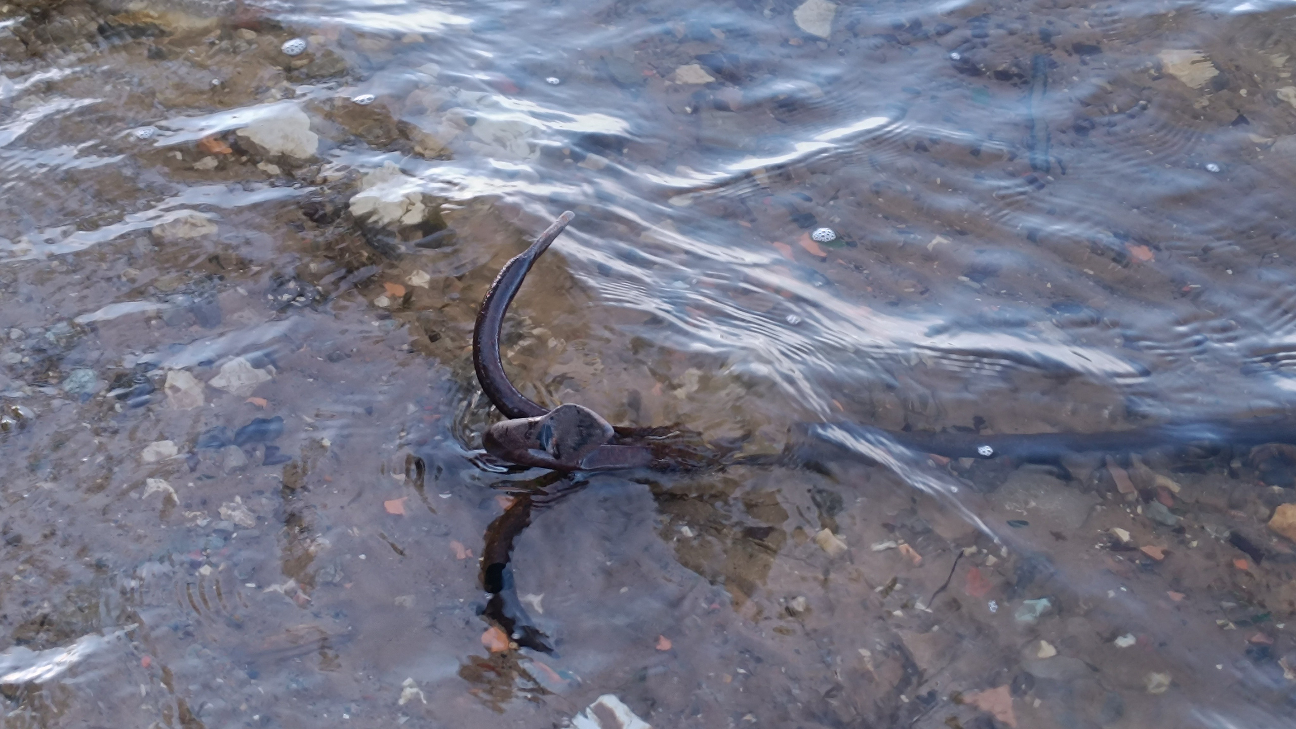 Читальный зал. Марина Рыбкина — Глубинная психология