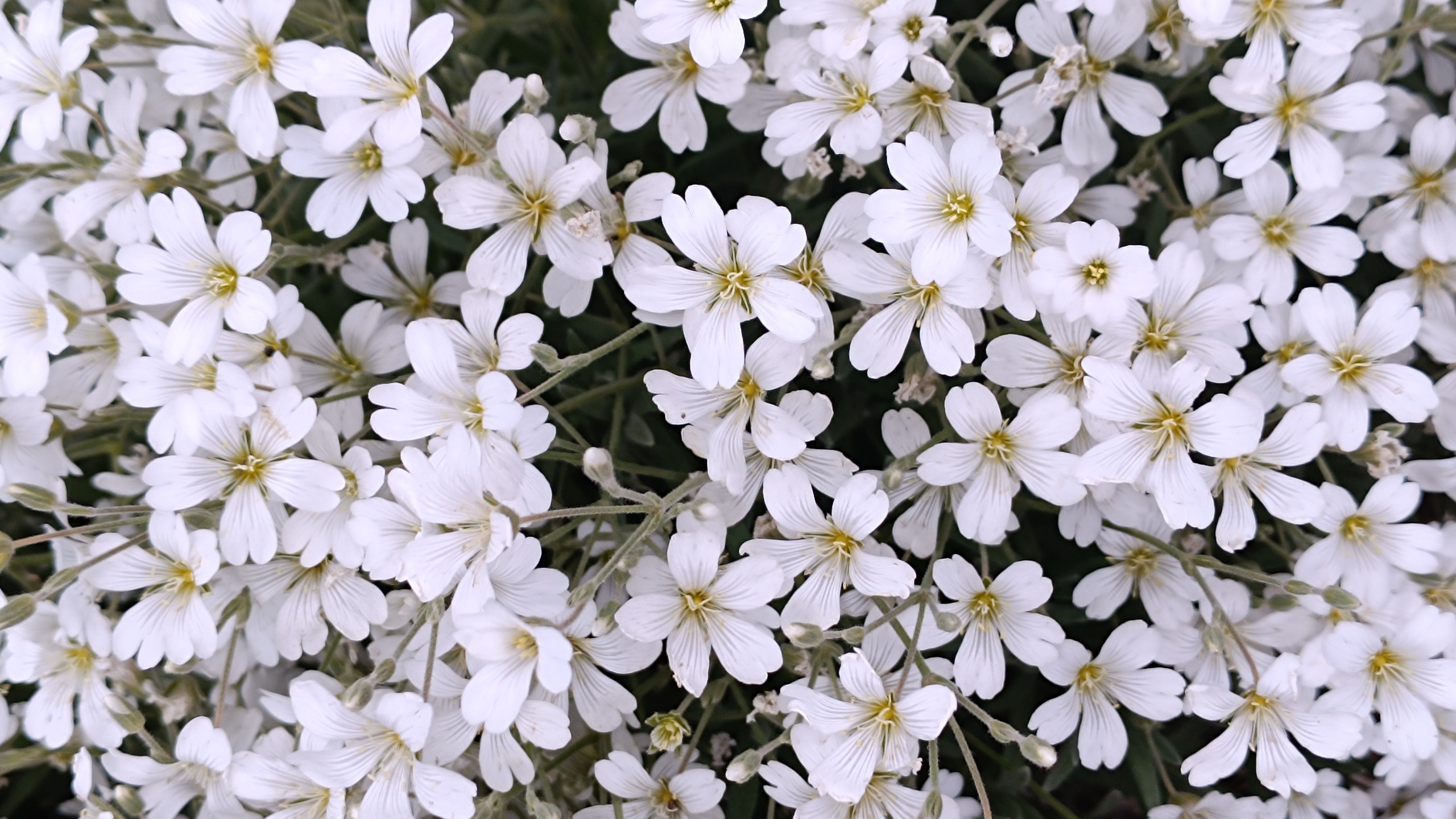 Читальный зал. Марина Рыбкина — Глубинная психология