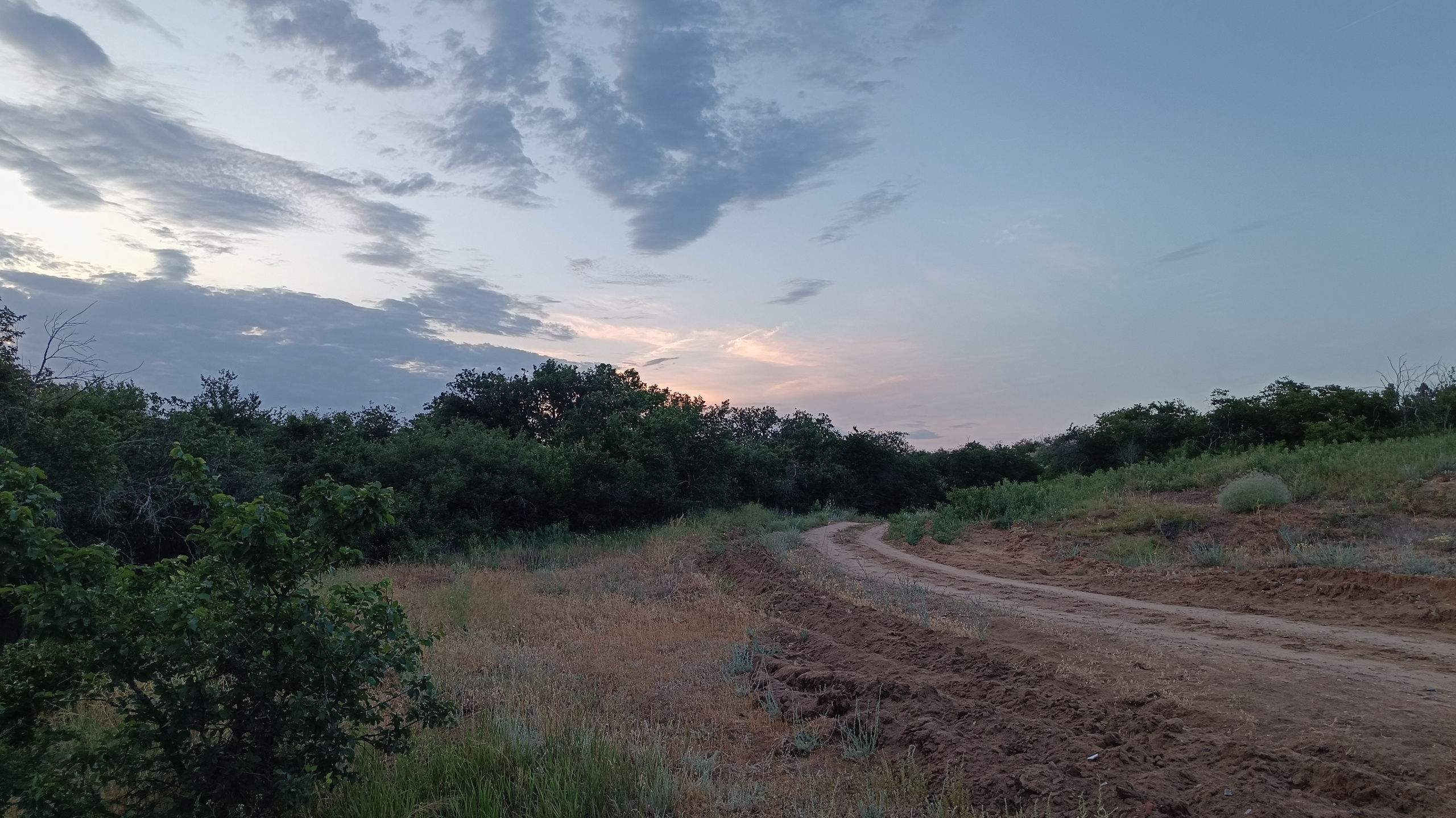Читальный зал. Марина Рыбкина — Глубинная психология