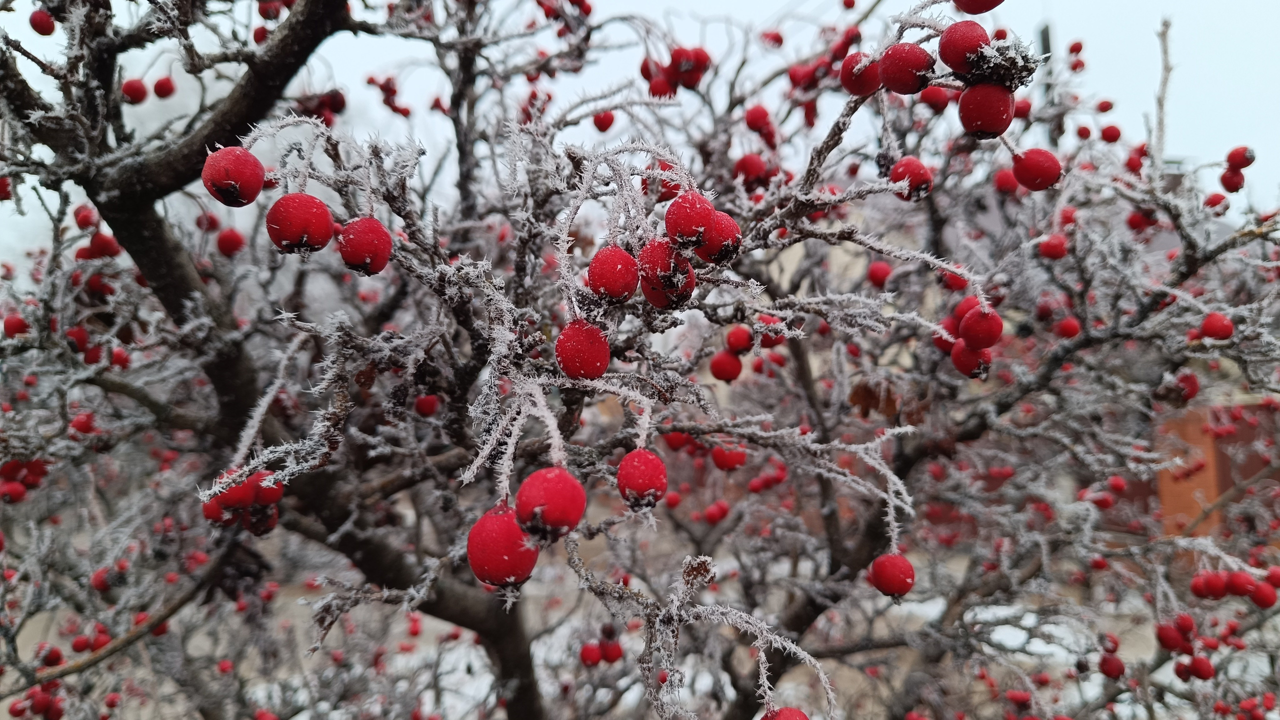 Читальный зал. Марина Рыбкина — Глубинная психология