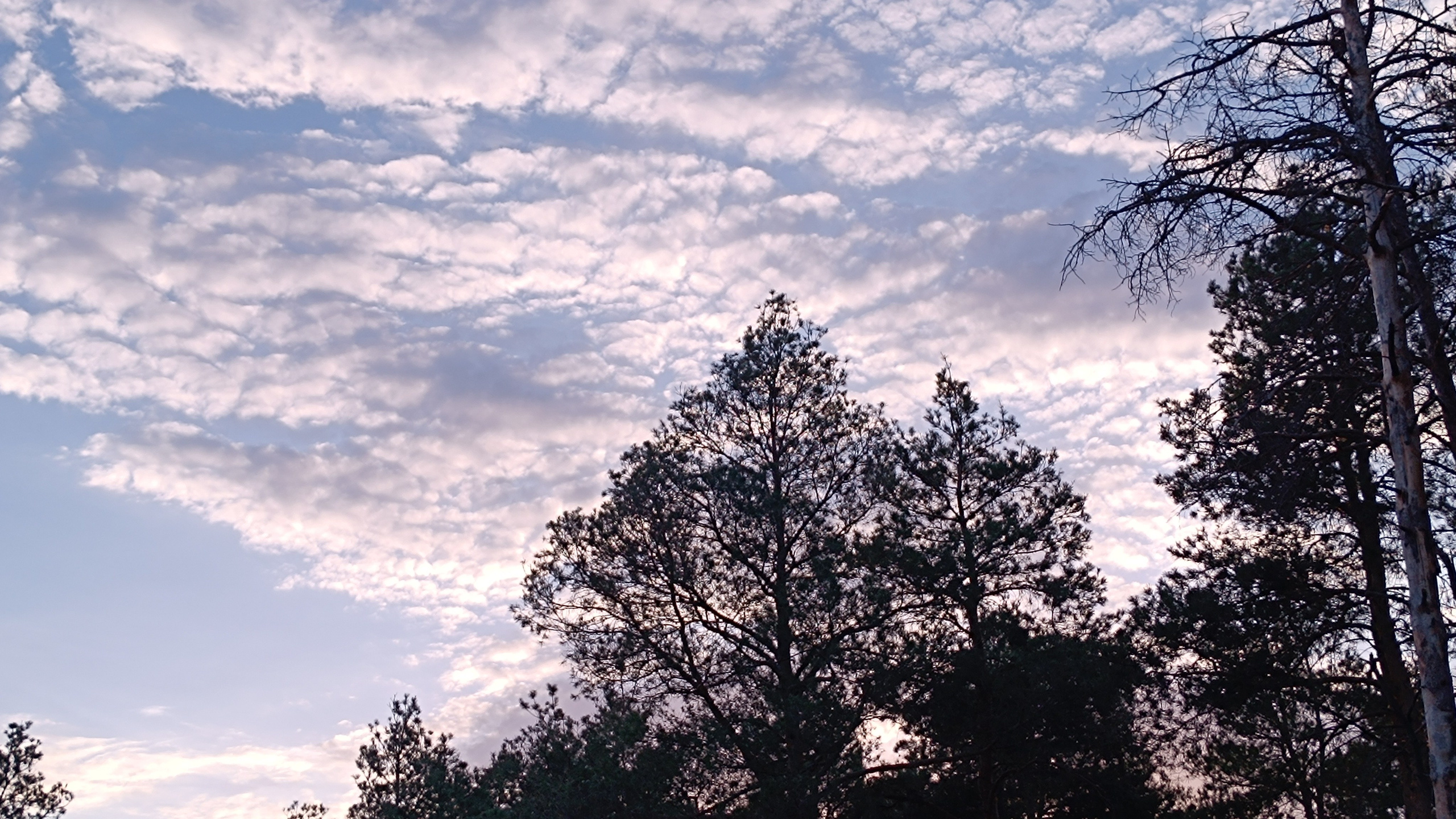 Читальный зал. Марина Рыбкина — Глубинная психология