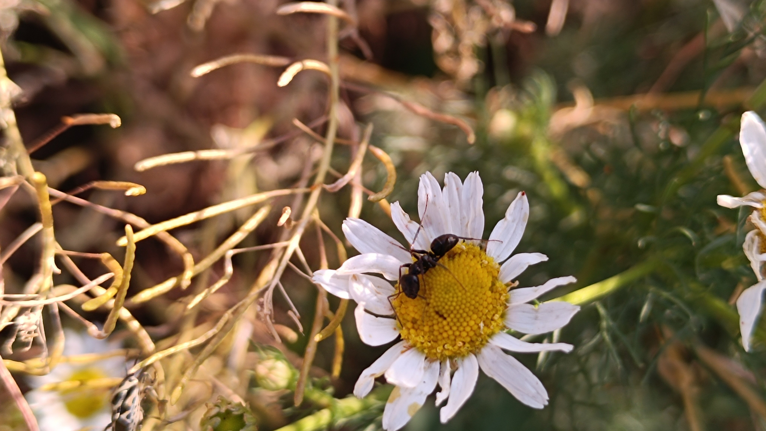 Читальный зал. Марина Рыбкина — Глубинная психология