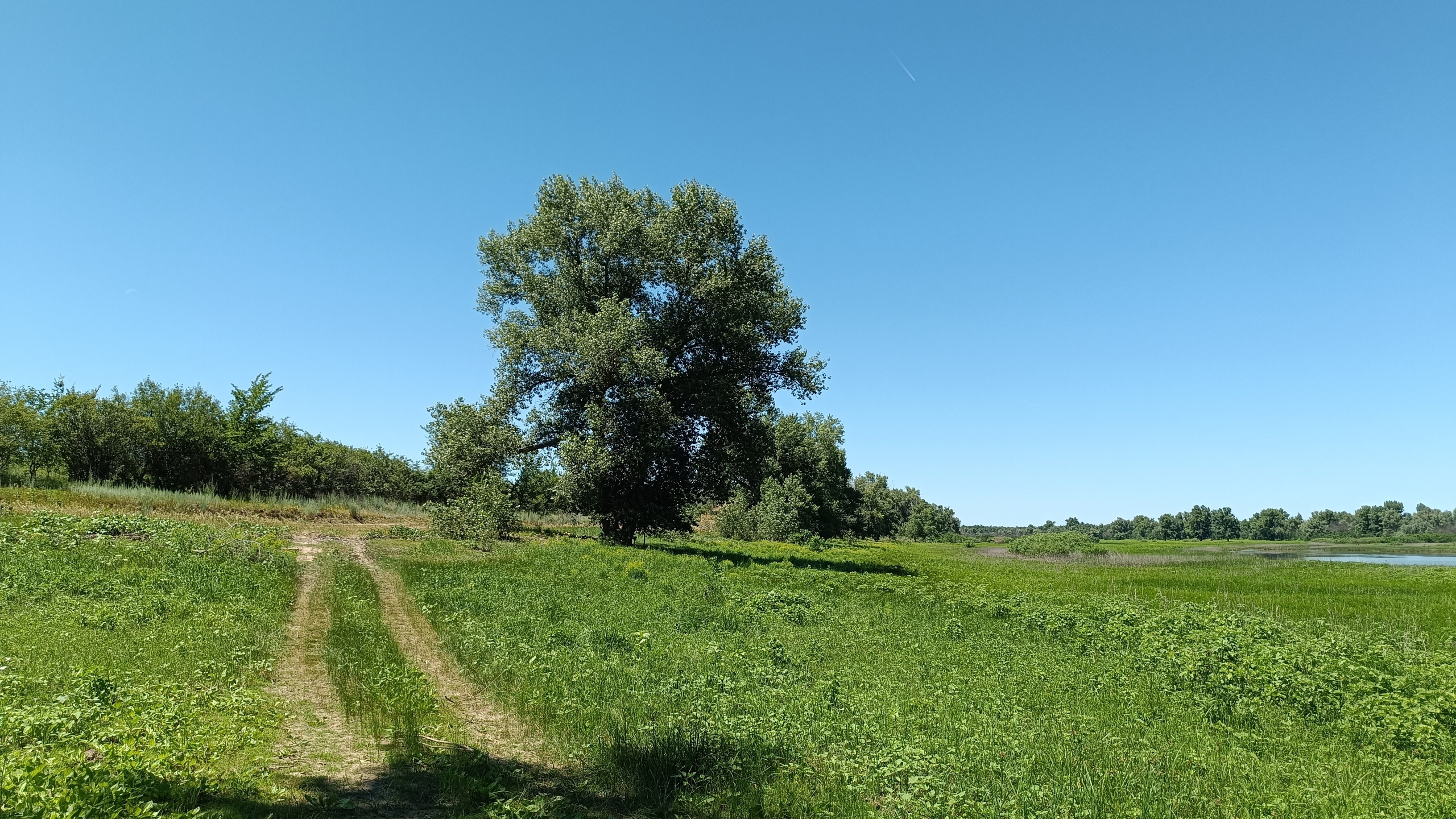 Читальный зал. Марина Рыбкина — Глубинная психология