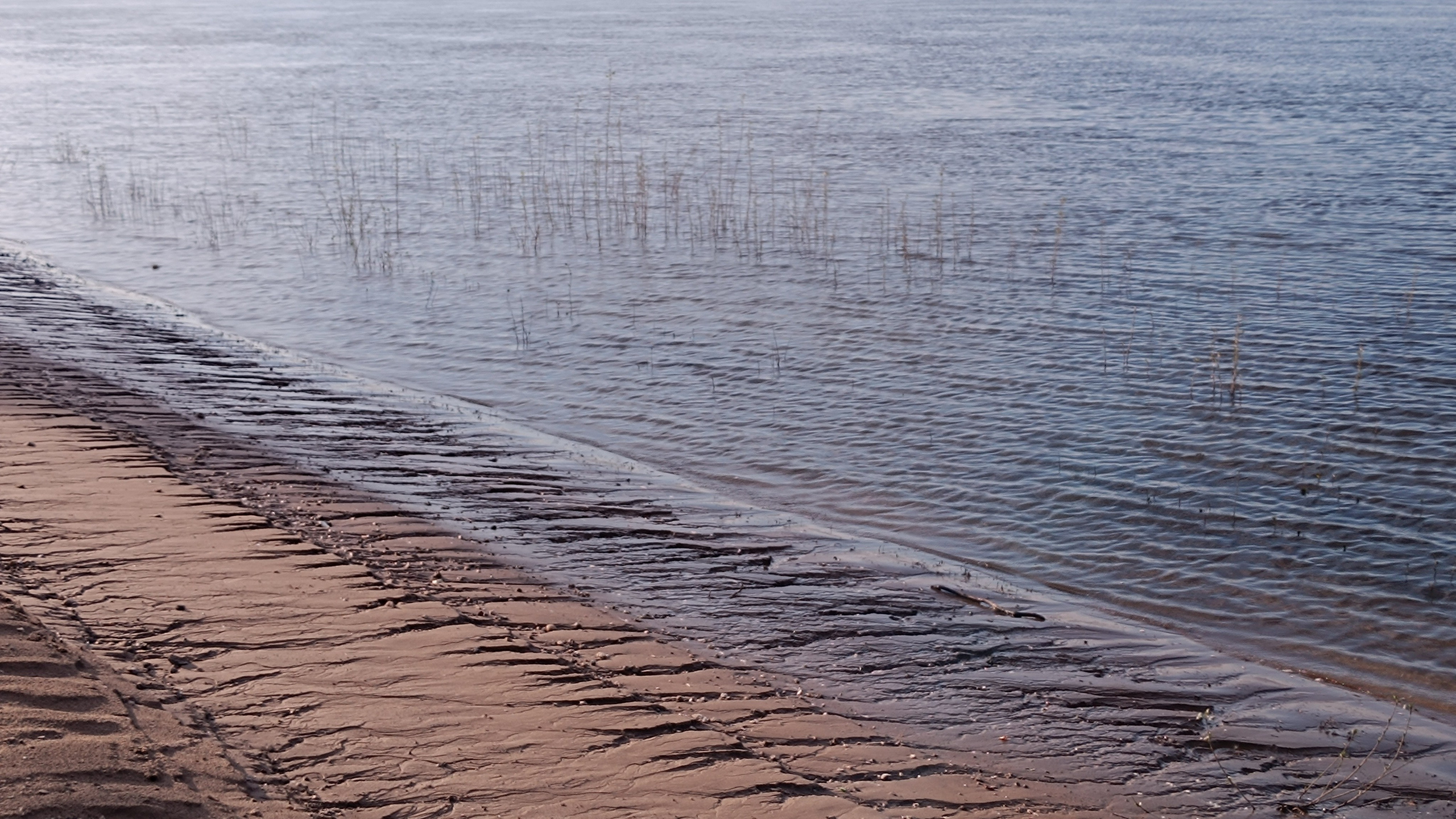 Читальный зал. Марина Рыбкина — Глубинная психология