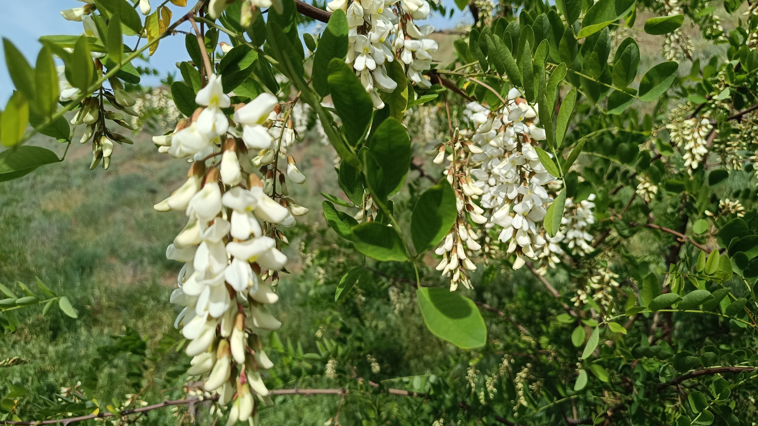 Читальный зал. Марина Рыбкина — Глубинная психология