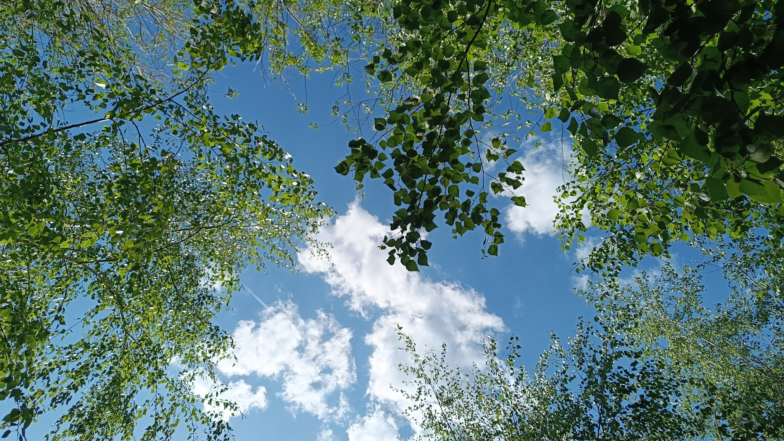 Читальный зал. Марина Рыбкина — Глубинная психология