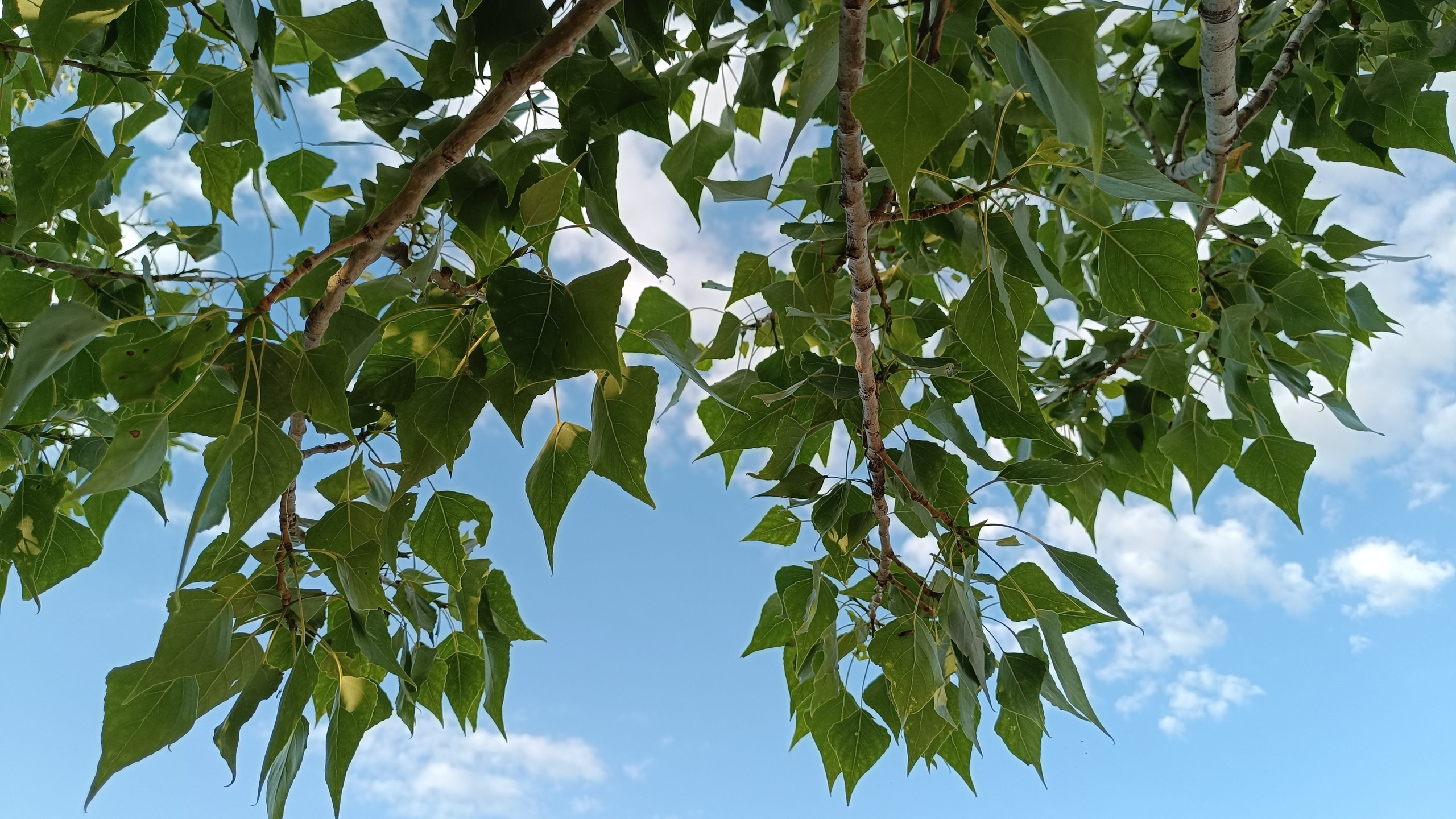 Читальный зал. Марина Рыбкина — Глубинная психология