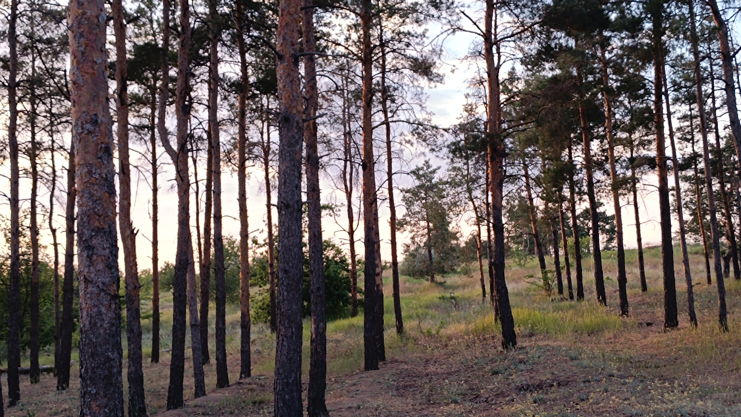 Читальный зал. Марина Рыбкина — Глубинная психология