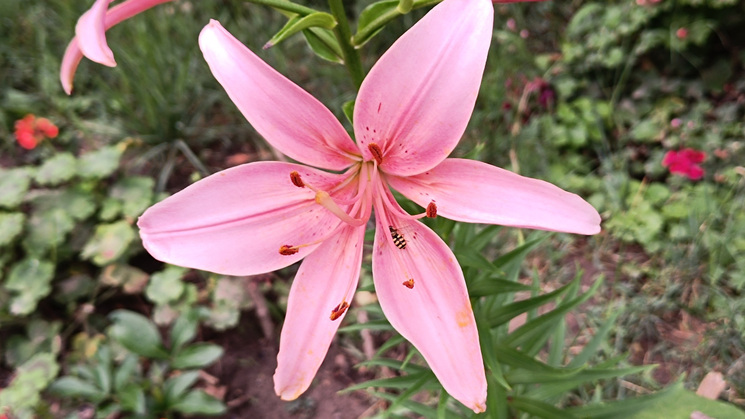 Ольфактотерапия. Марина Рыбкина — Глубинная психология